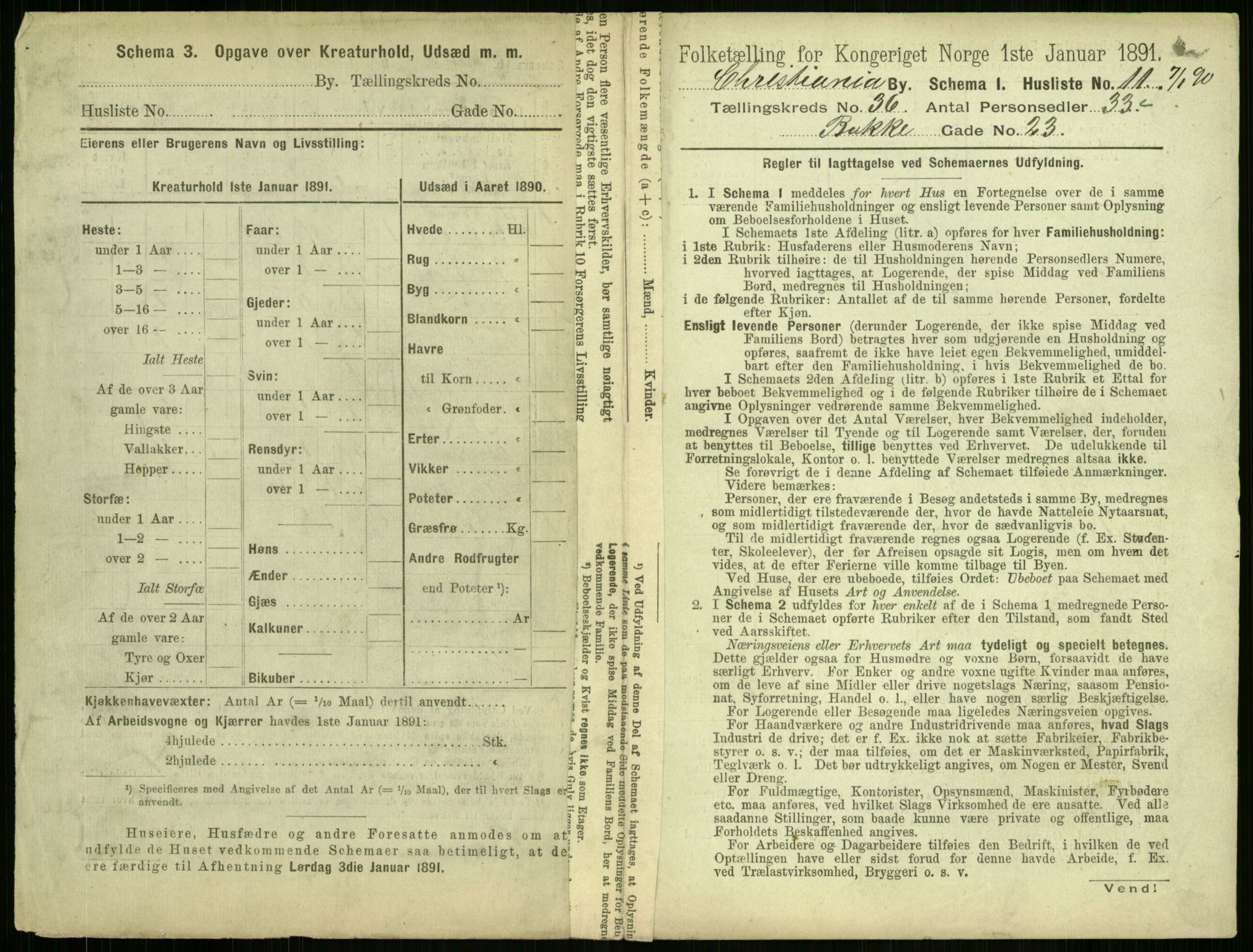 RA, 1891 census for 0301 Kristiania, 1891, p. 20026