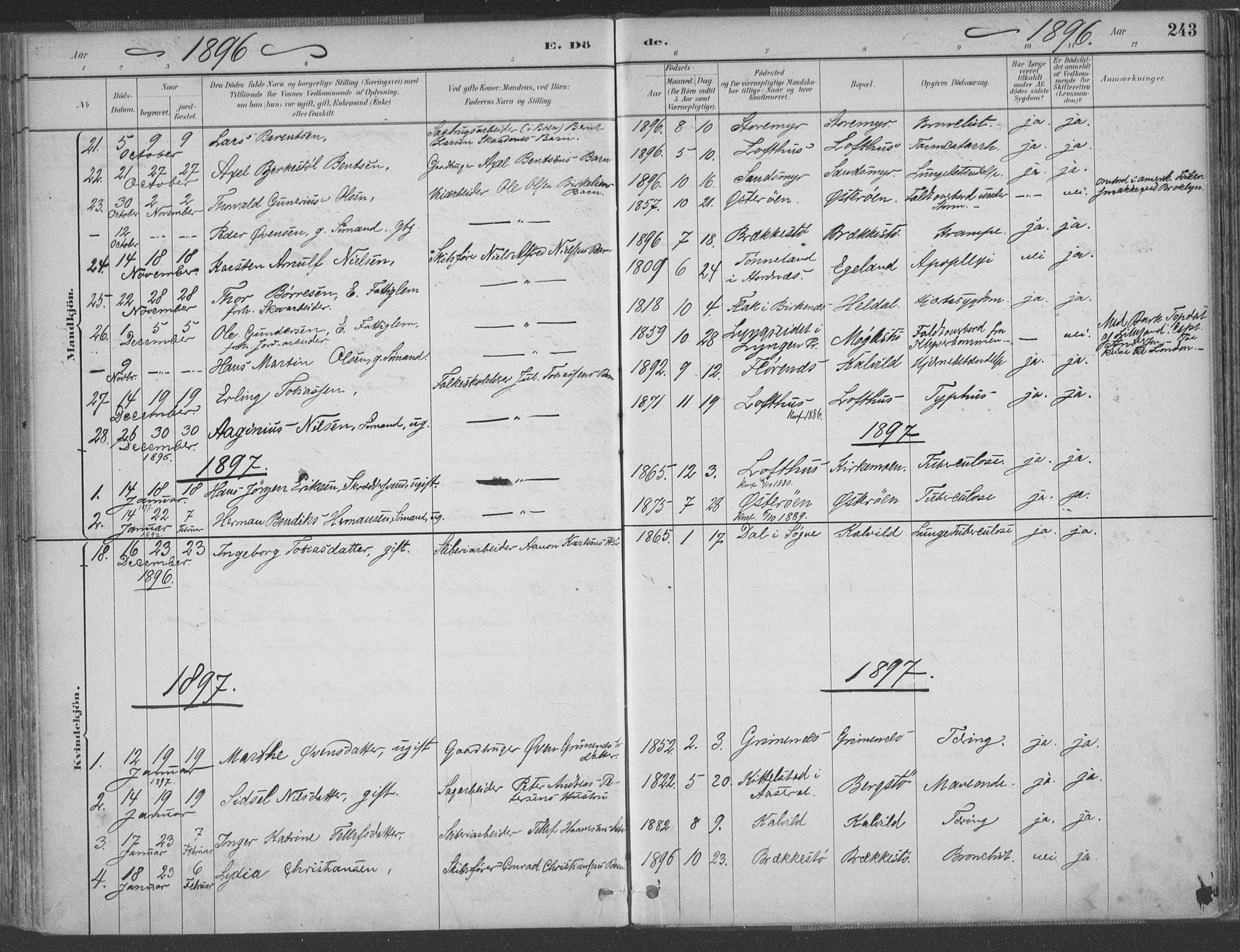 Vestre Moland sokneprestkontor, SAK/1111-0046/F/Fa/Fab/L0009: Parish register (official) no. A 9, 1884-1899, p. 243