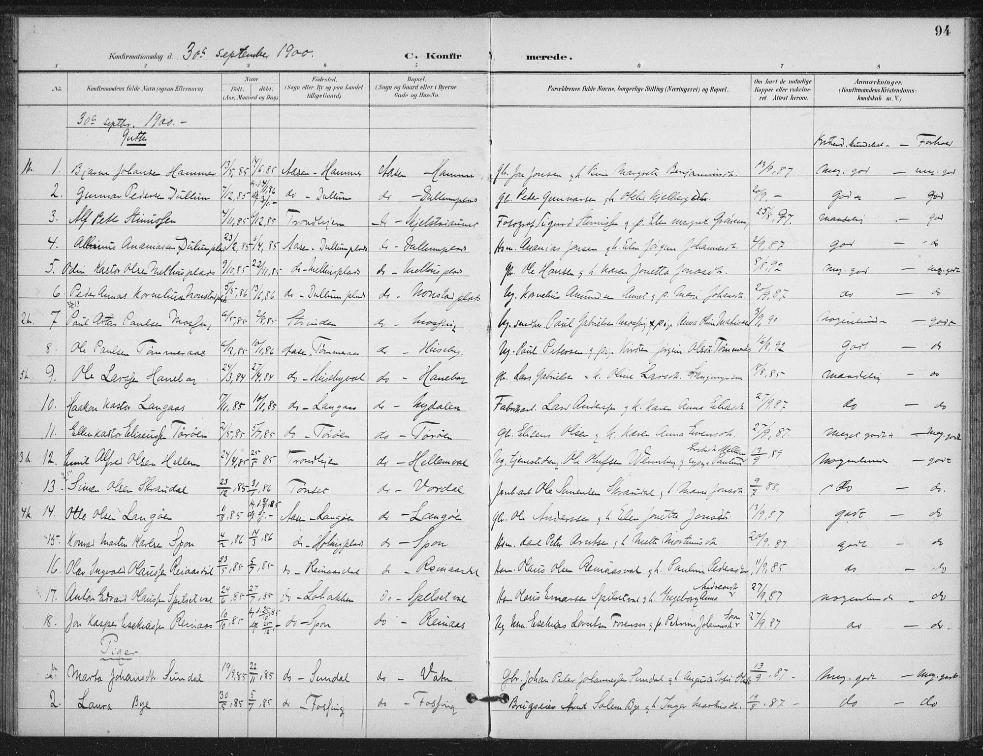 Ministerialprotokoller, klokkerbøker og fødselsregistre - Nord-Trøndelag, SAT/A-1458/714/L0131: Parish register (official) no. 714A02, 1896-1918, p. 94