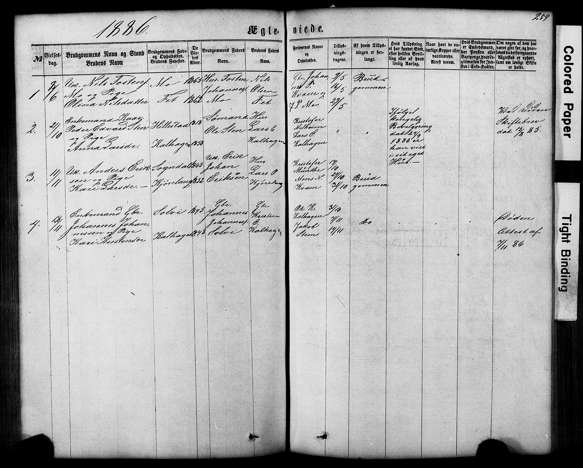 Hafslo sokneprestembete, AV/SAB-A-80301/H/Hab/Haba/L0001: Parish register (copy) no. A 1, 1866-1908, p. 259