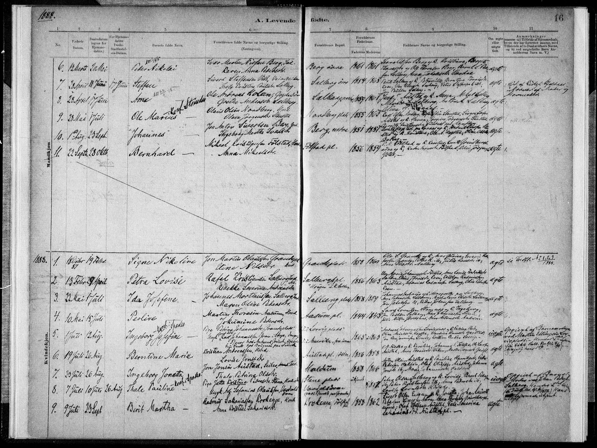 Ministerialprotokoller, klokkerbøker og fødselsregistre - Nord-Trøndelag, SAT/A-1458/731/L0309: Parish register (official) no. 731A01, 1879-1918, p. 16