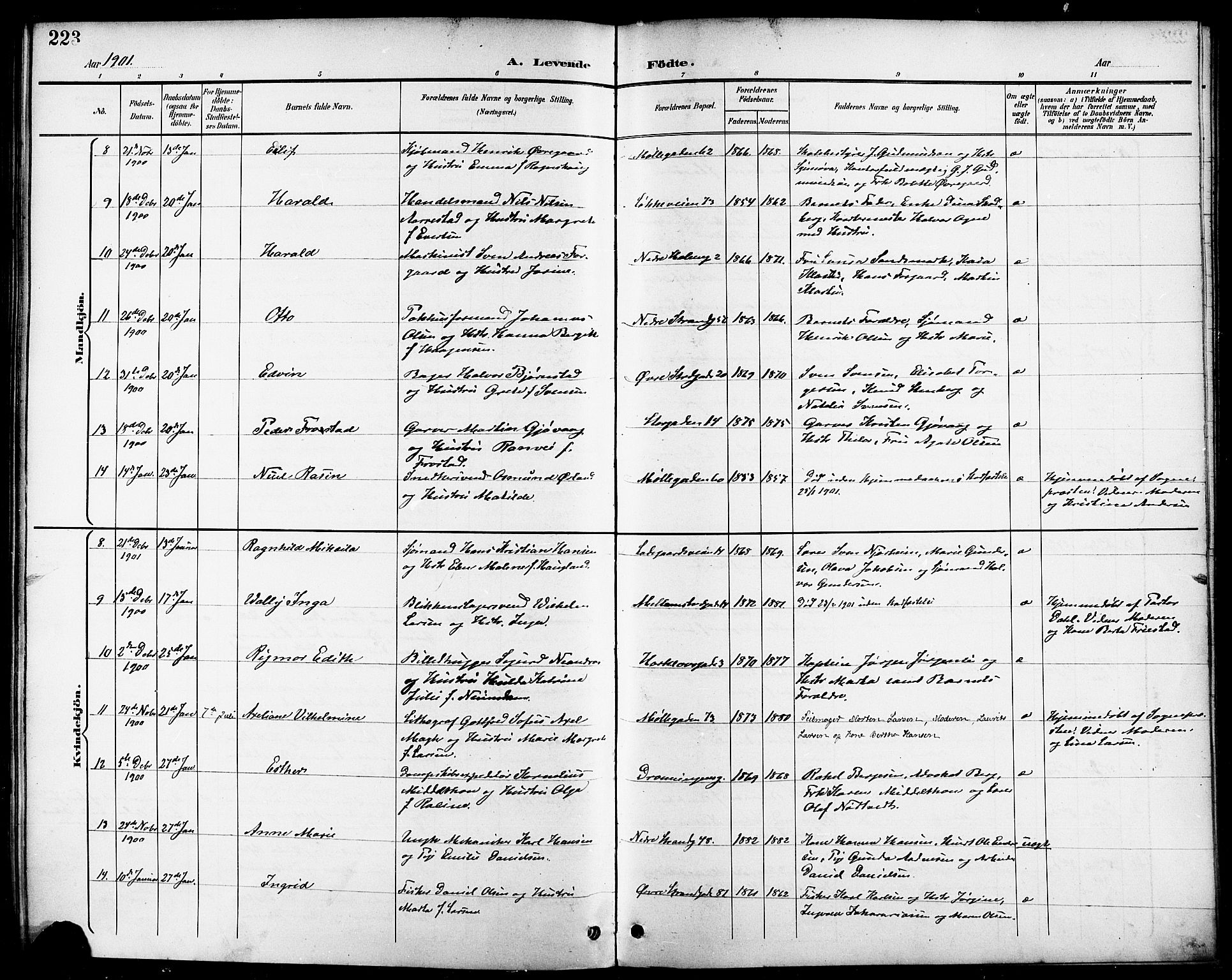 Domkirken sokneprestkontor, AV/SAST-A-101812/001/30/30BB/L0016: Parish register (copy) no. B 16, 1891-1902, p. 223