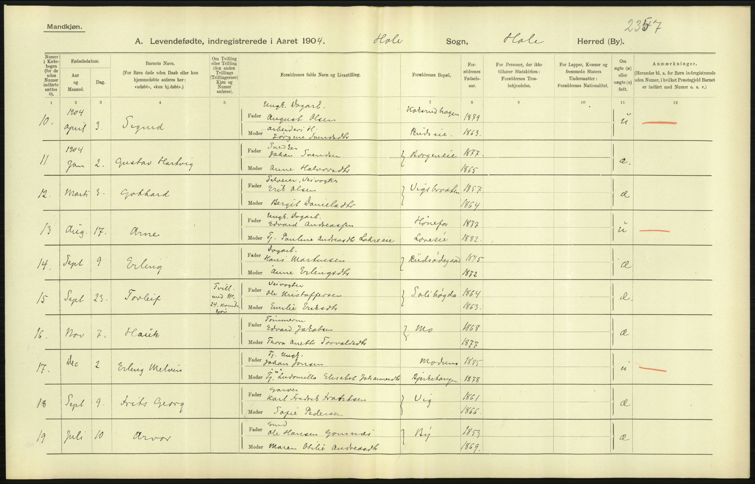 Statistisk sentralbyrå, Sosiodemografiske emner, Befolkning, AV/RA-S-2228/D/Df/Dfa/Dfab/L0007: Buskerud amt: Fødte, gifte, døde, 1904, p. 39