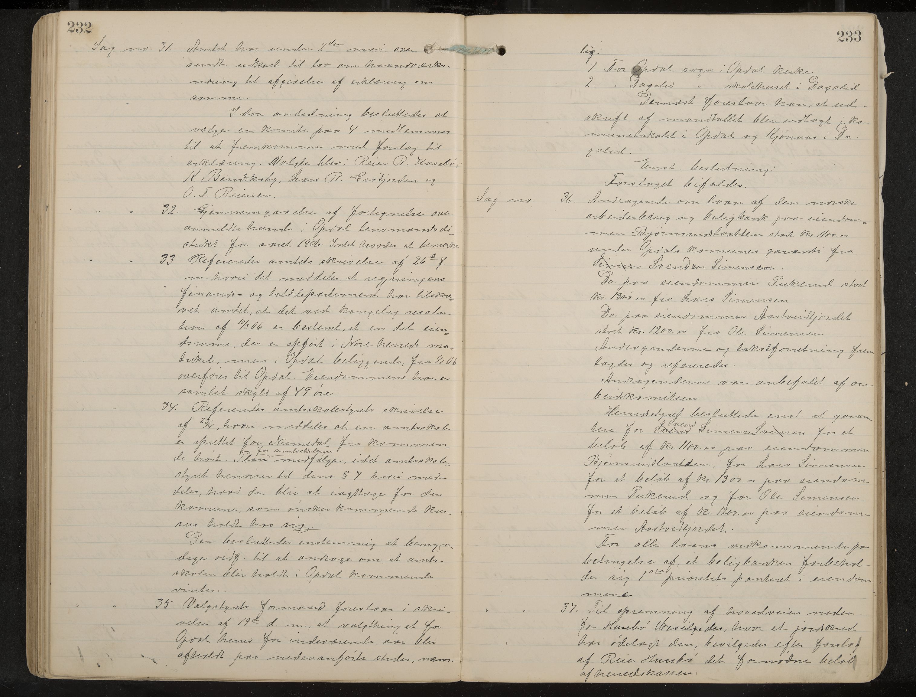 Uvdal formannskap og sentraladministrasjon, IKAK/0634021/A/Aa/L0001: Møtebok, 1901-1909, p. 232-233