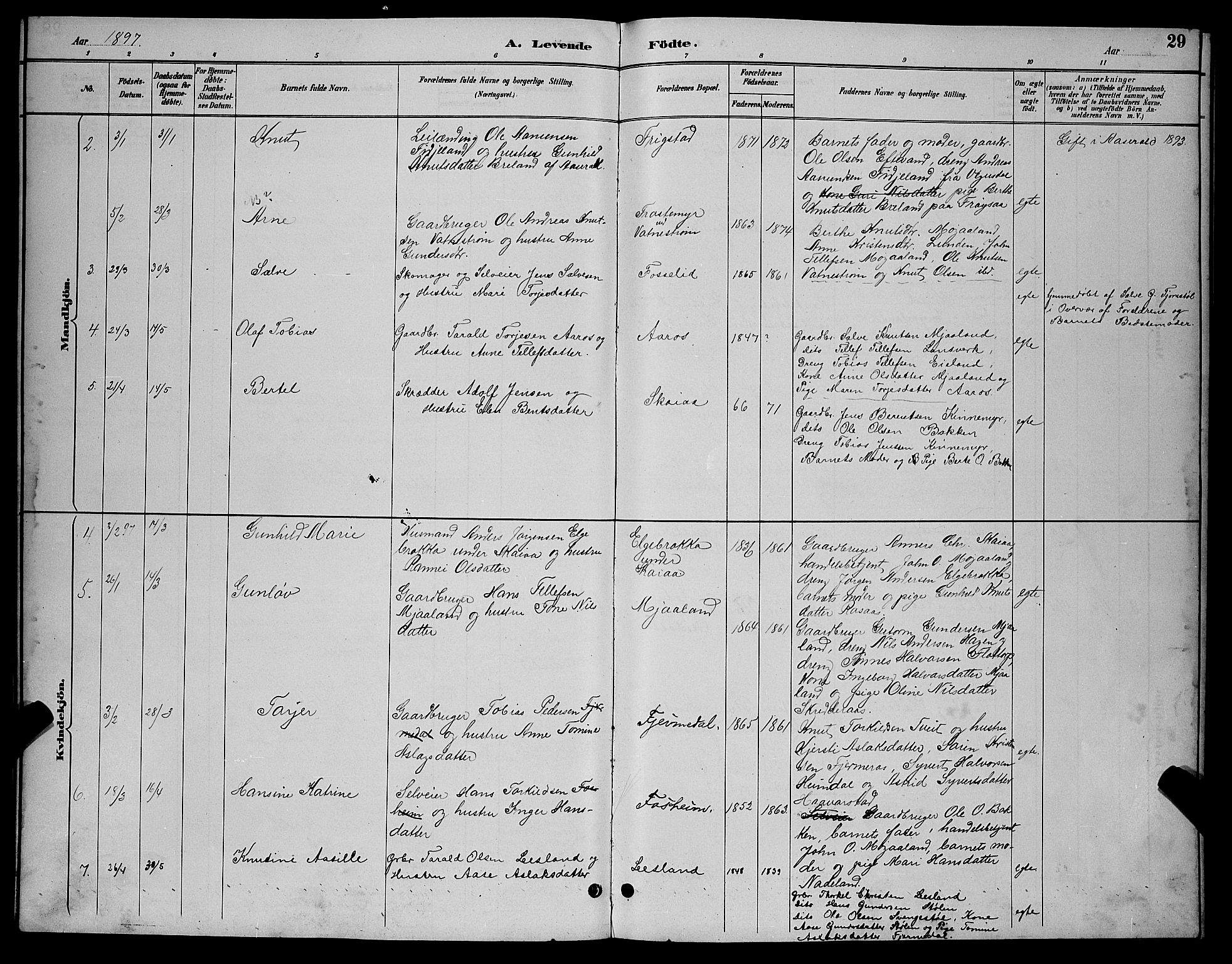 Evje sokneprestkontor, AV/SAK-1111-0008/F/Fb/Fbc/L0004: Parish register (copy) no. B 4, 1890-1900, p. 29