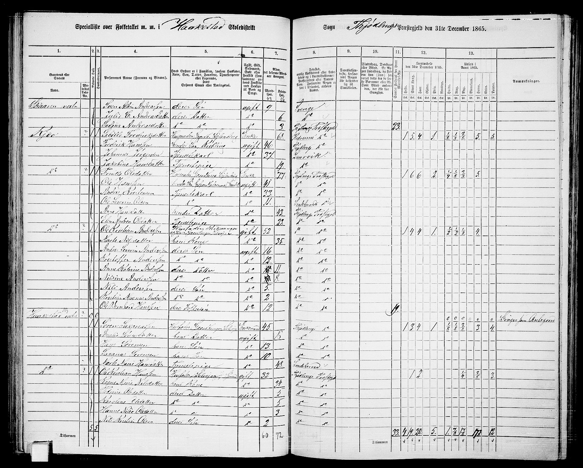 RA, 1865 census for Tjølling, 1865, p. 81