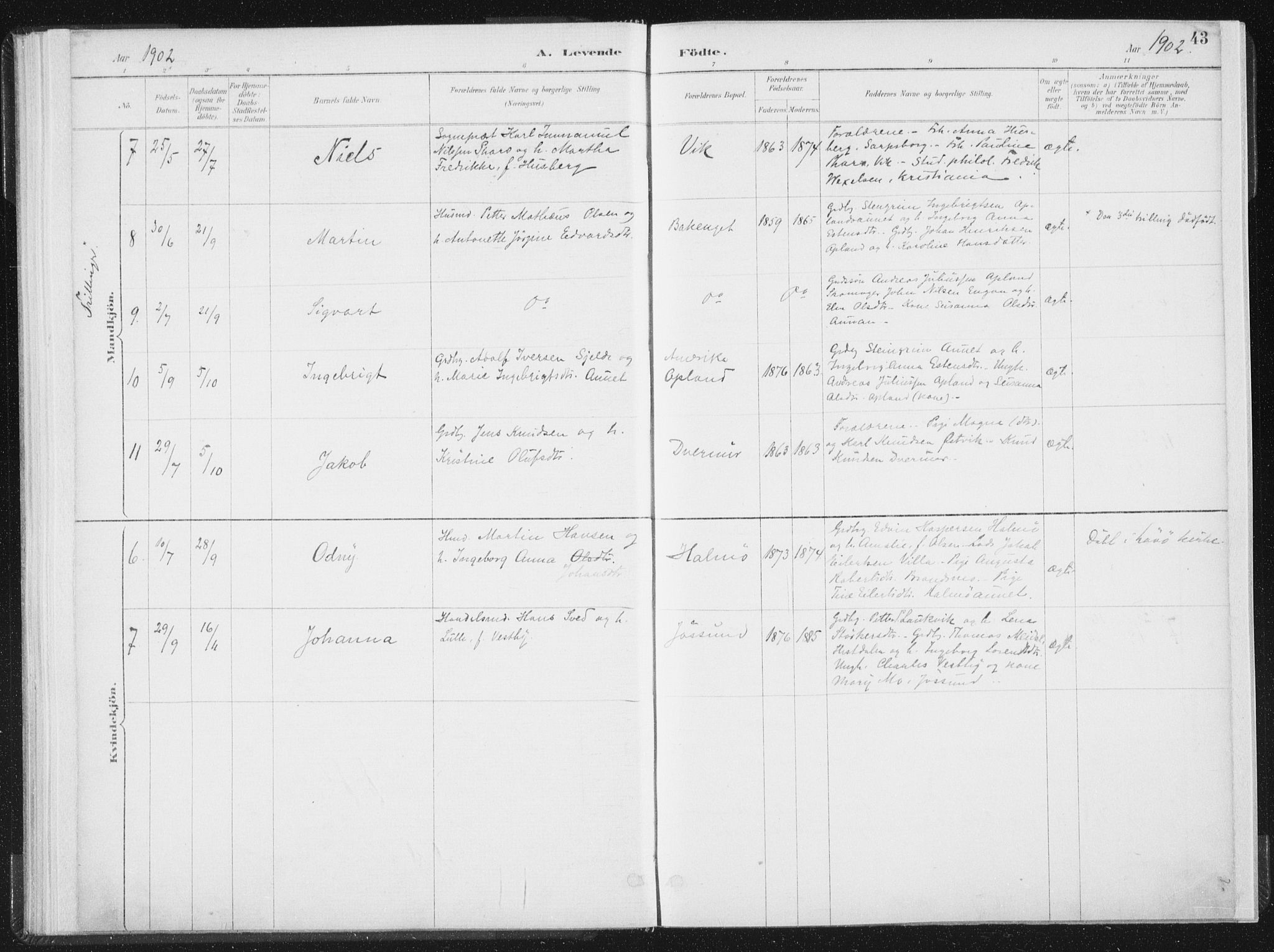 Ministerialprotokoller, klokkerbøker og fødselsregistre - Nord-Trøndelag, SAT/A-1458/771/L0597: Parish register (official) no. 771A04, 1885-1910, p. 43