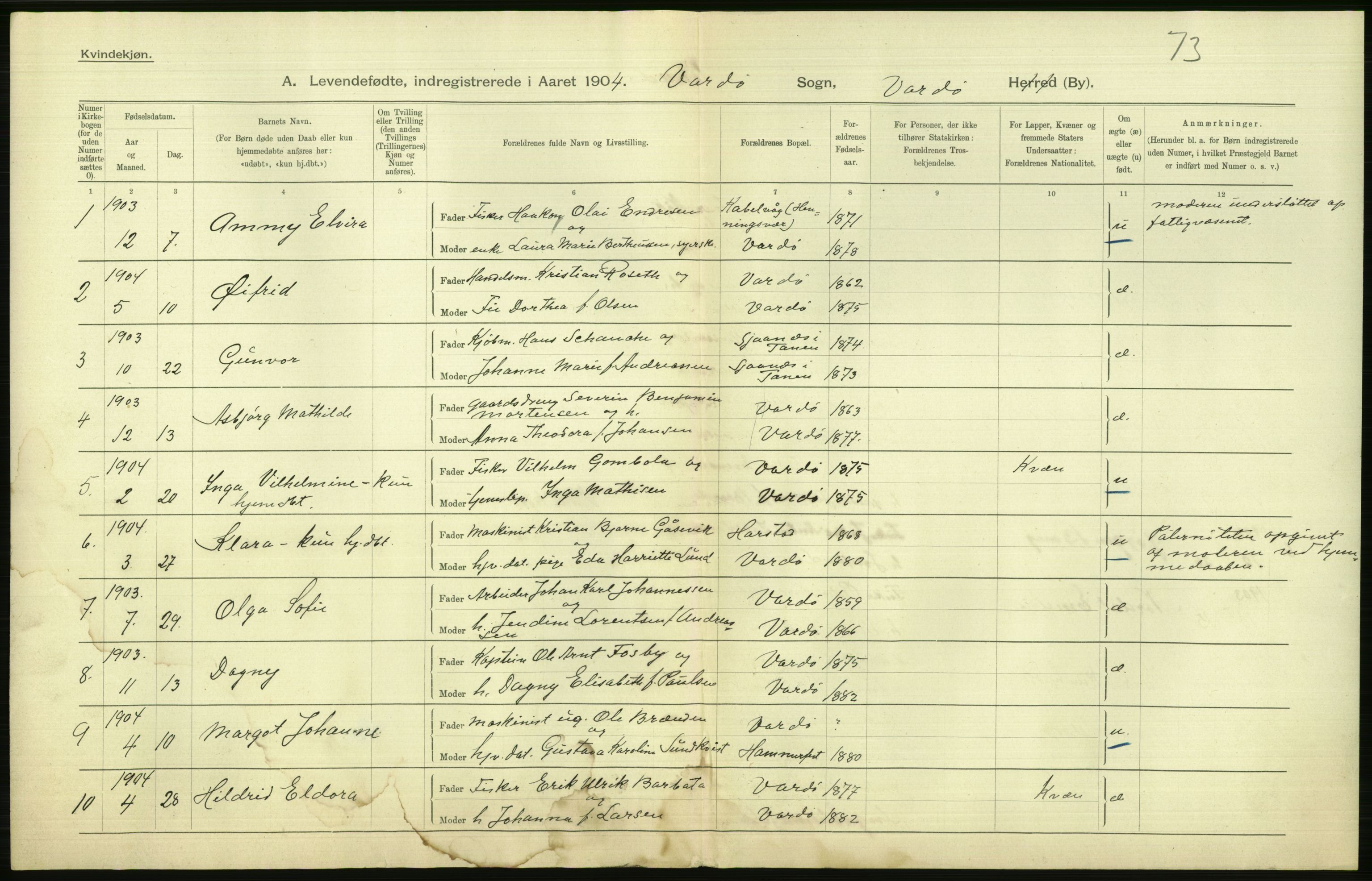 Statistisk sentralbyrå, Sosiodemografiske emner, Befolkning, AV/RA-S-2228/D/Df/Dfa/Dfab/L0023: Finnmarkens amt: Fødte, gifte, døde, 1904, p. 146