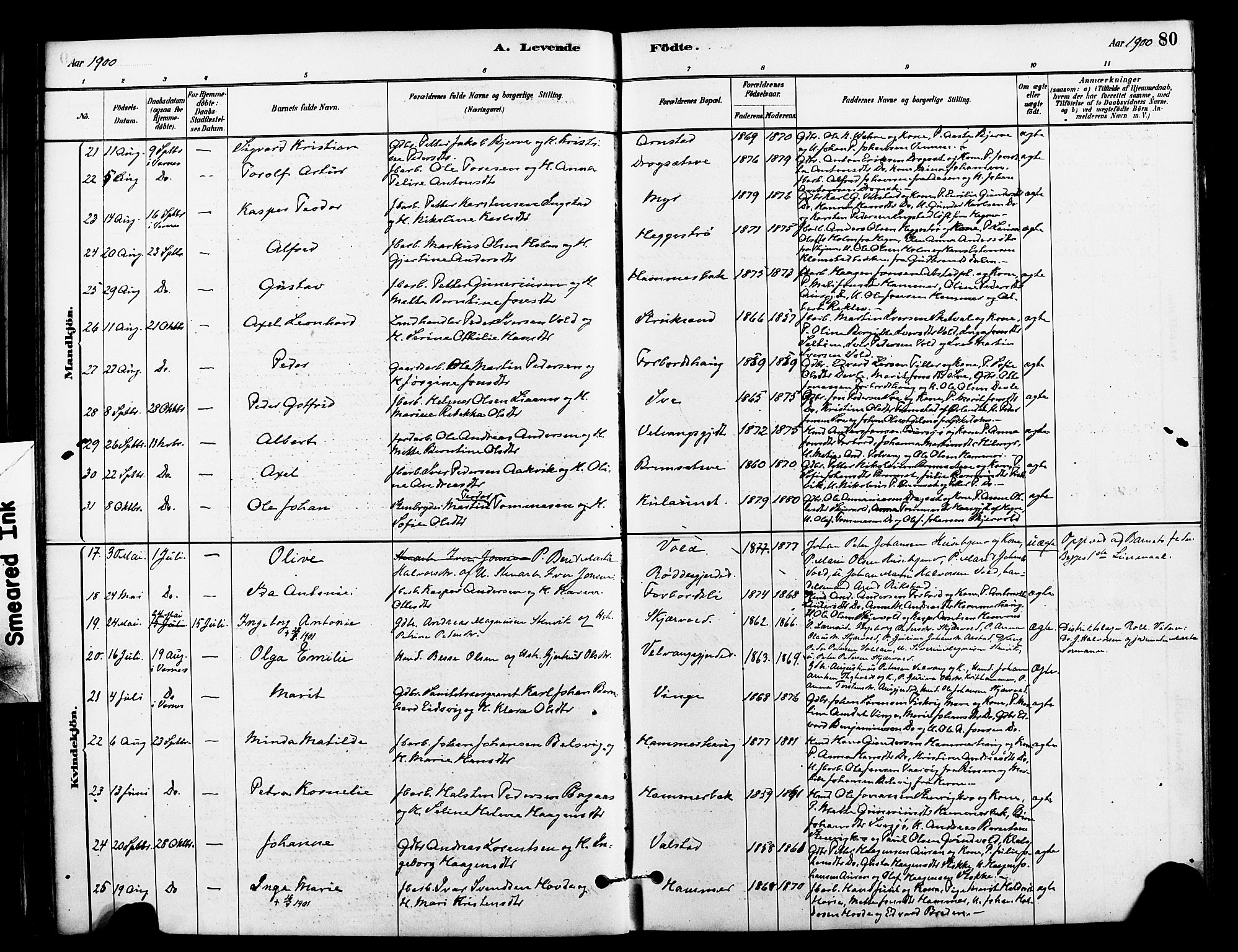 Ministerialprotokoller, klokkerbøker og fødselsregistre - Nord-Trøndelag, SAT/A-1458/712/L0100: Parish register (official) no. 712A01, 1880-1900, p. 80