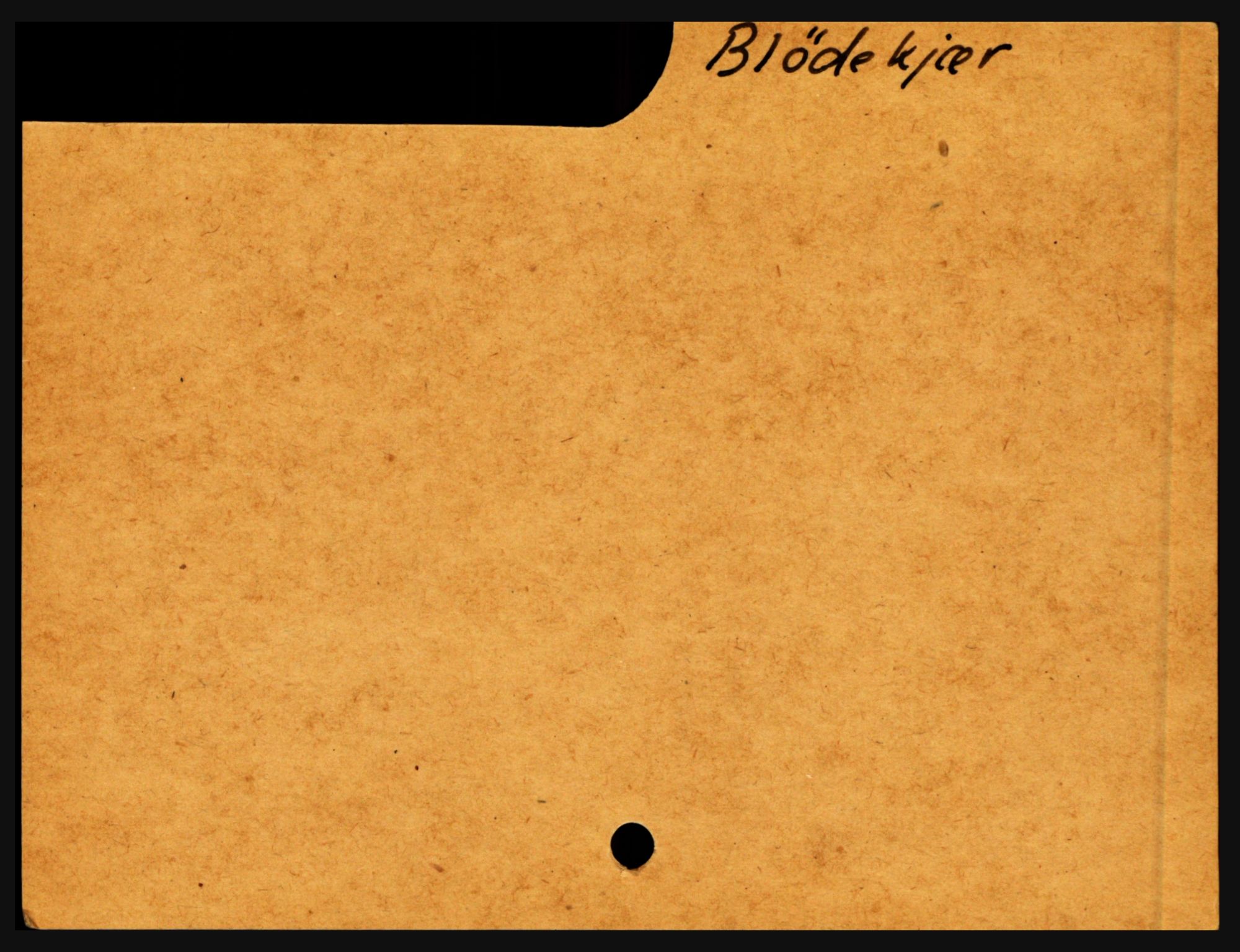 Nedenes sorenskriveri før 1824, SAK/1221-0007/H, p. 3055