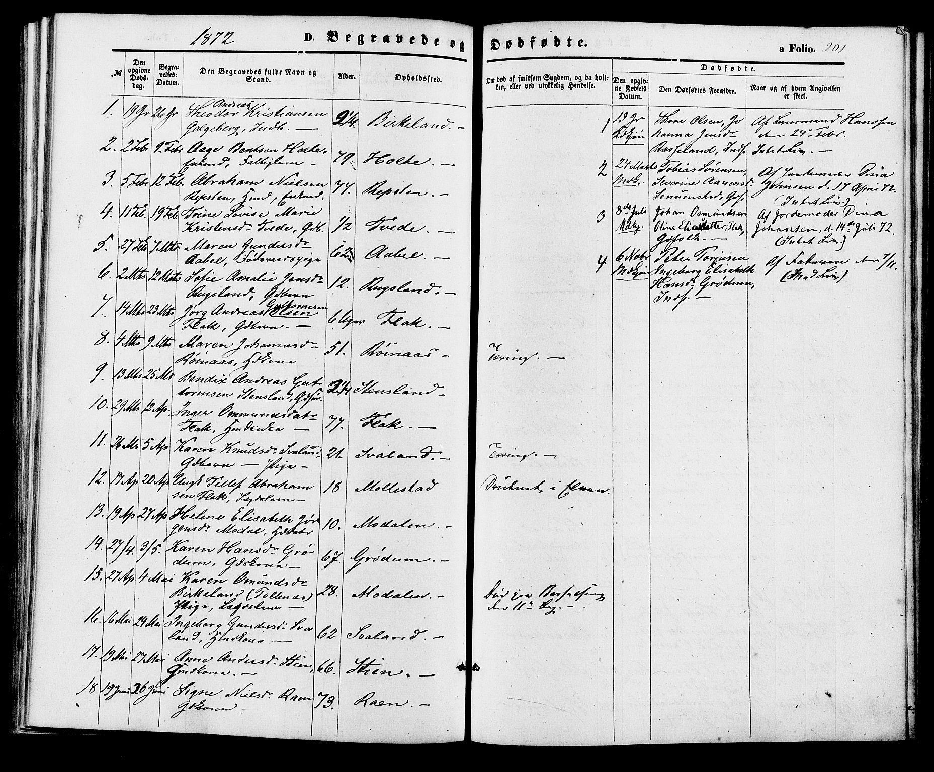 Birkenes sokneprestkontor, AV/SAK-1111-0004/F/Fa/L0004: Parish register (official) no. A 4, 1867-1886, p. 201