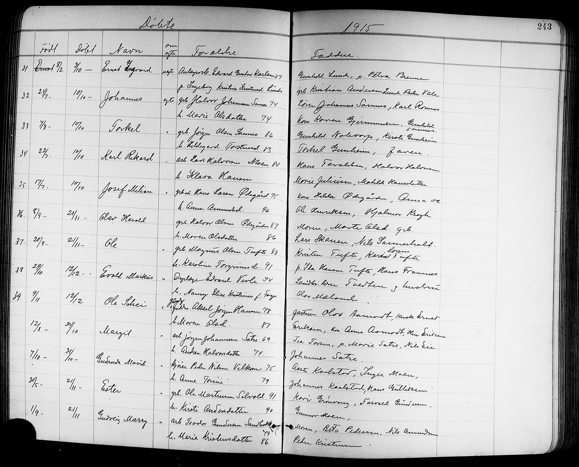 Holla kirkebøker, SAKO/A-272/G/Ga/L0005: Parish register (copy) no. I 5, 1891-1917, p. 243