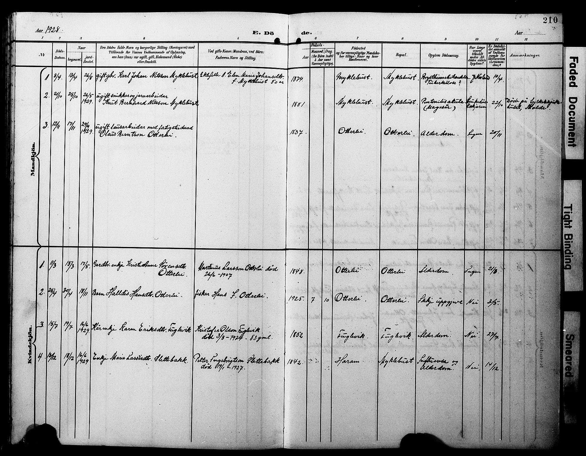 Ministerialprotokoller, klokkerbøker og fødselsregistre - Møre og Romsdal, AV/SAT-A-1454/538/L0524: Parish register (copy) no. 538C02, 1901-1931, p. 210