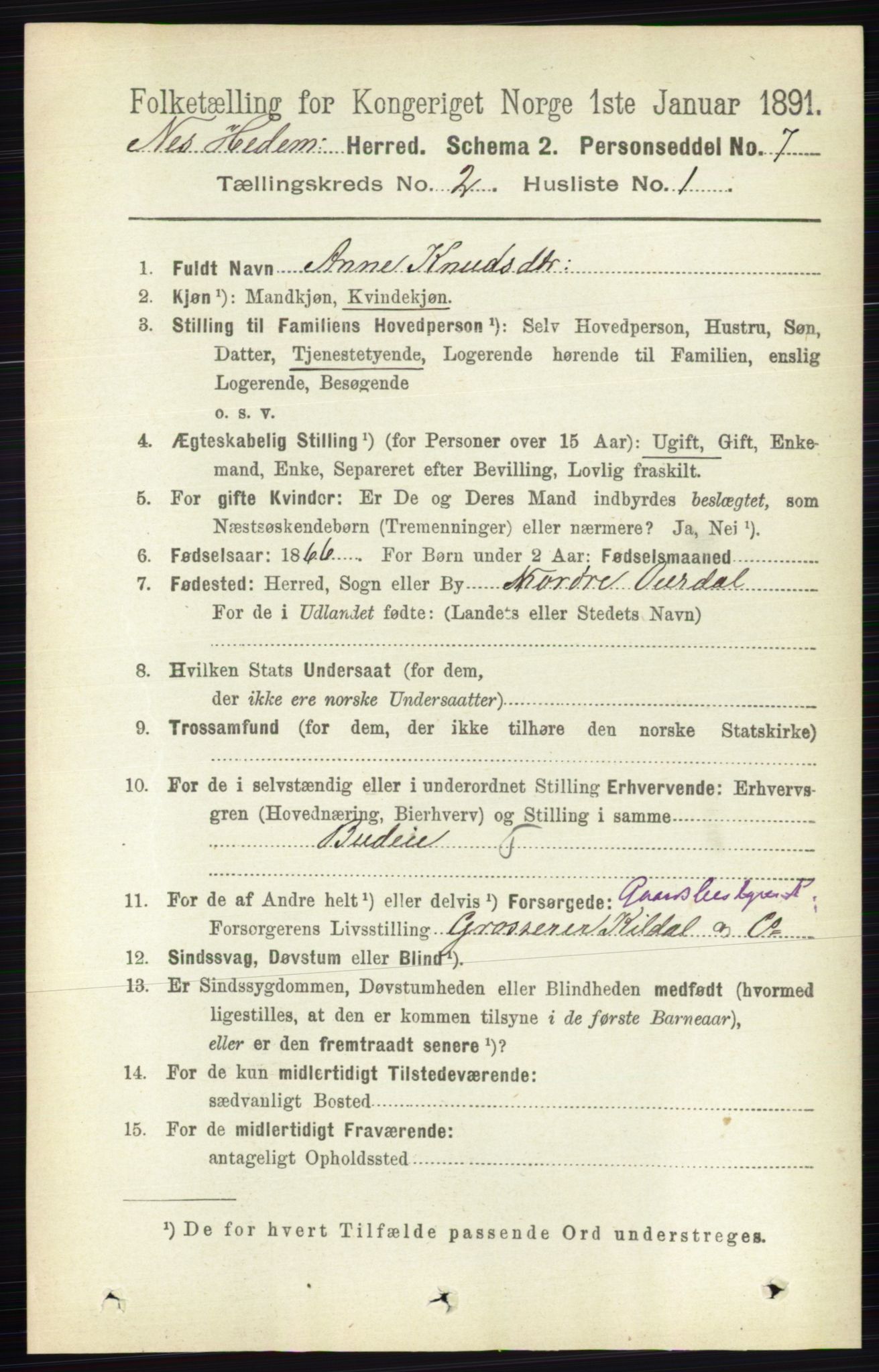 RA, 1891 census for 0411 Nes, 1891, p. 1078