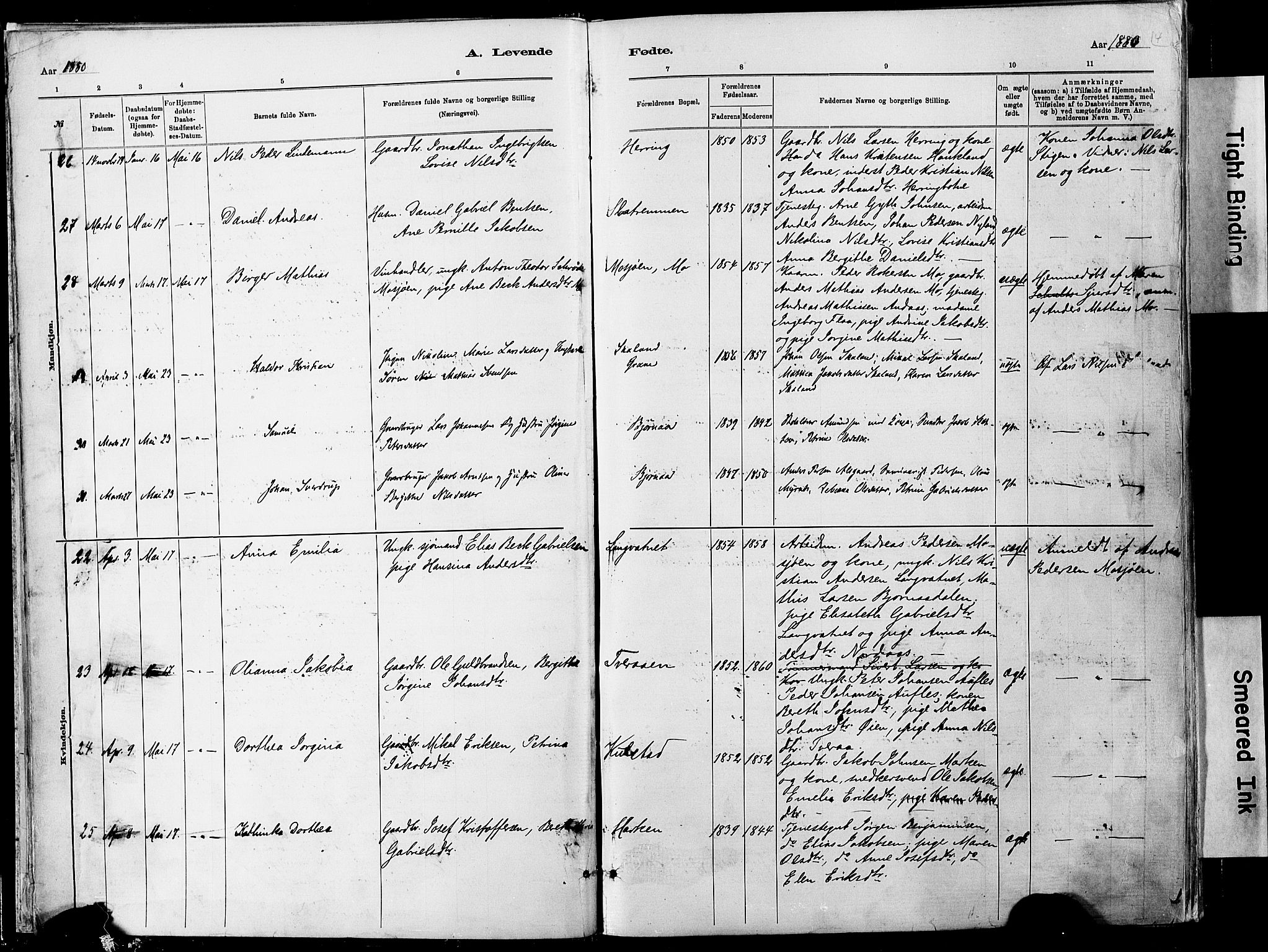 Ministerialprotokoller, klokkerbøker og fødselsregistre - Nordland, SAT/A-1459/820/L0295: Parish register (official) no. 820A16, 1880-1896, p. 4