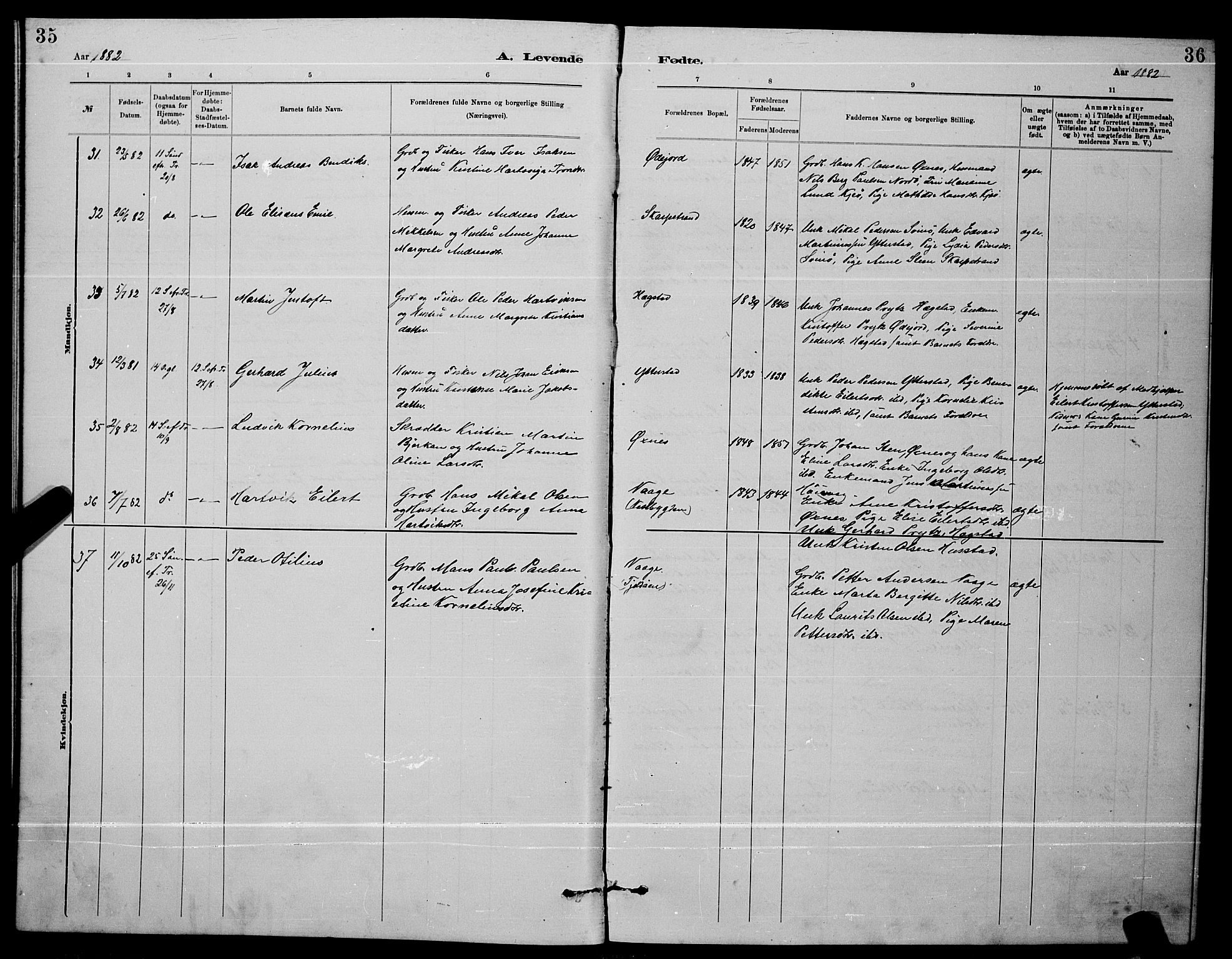 Ministerialprotokoller, klokkerbøker og fødselsregistre - Nordland, AV/SAT-A-1459/872/L1047: Parish register (copy) no. 872C03, 1880-1897, p. 35-36