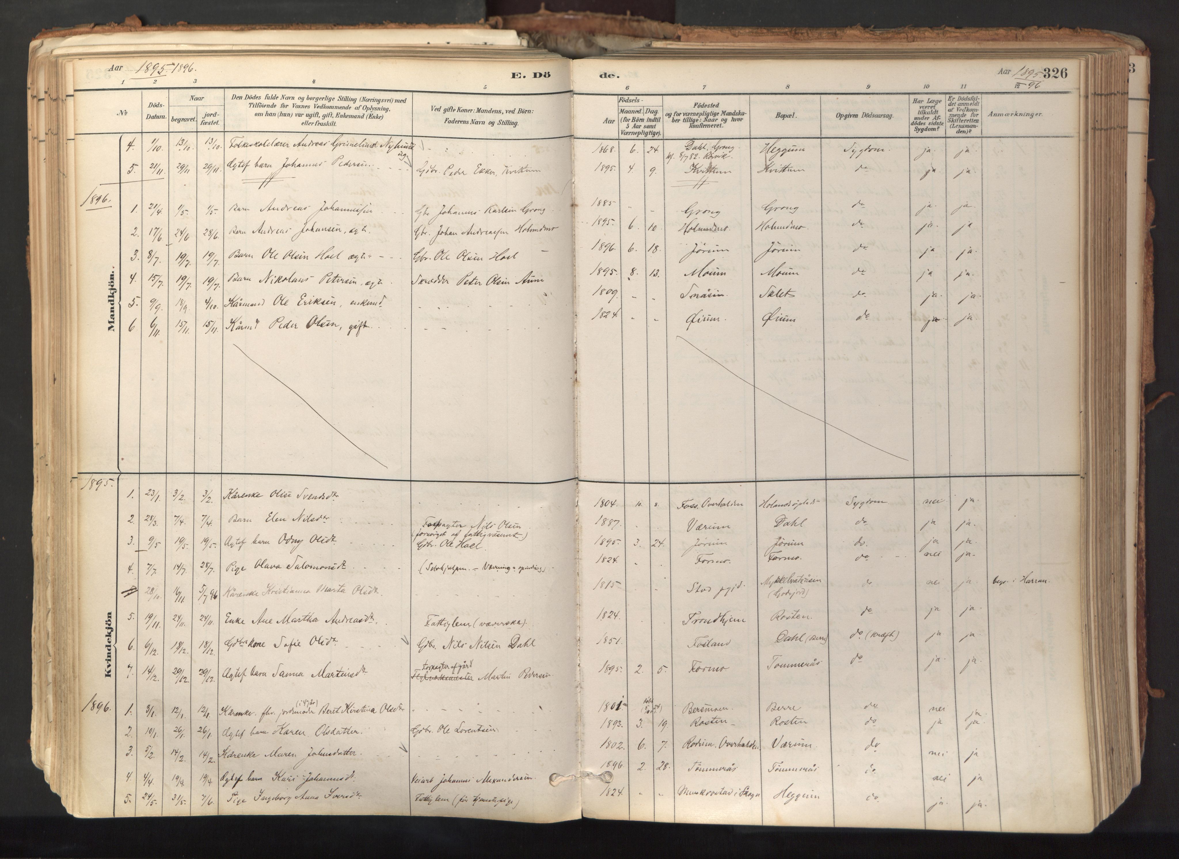 Ministerialprotokoller, klokkerbøker og fødselsregistre - Nord-Trøndelag, SAT/A-1458/758/L0519: Parish register (official) no. 758A04, 1880-1926, p. 326