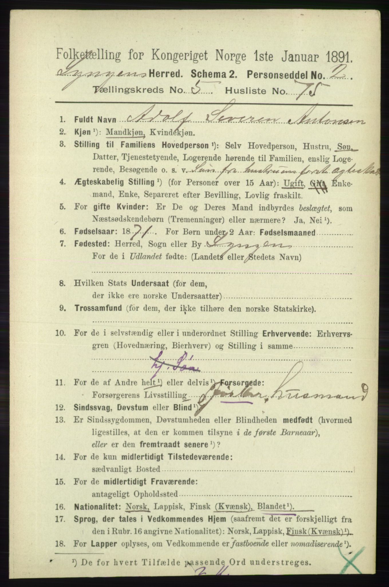 RA, 1891 census for 1938 Lyngen, 1891, p. 4901