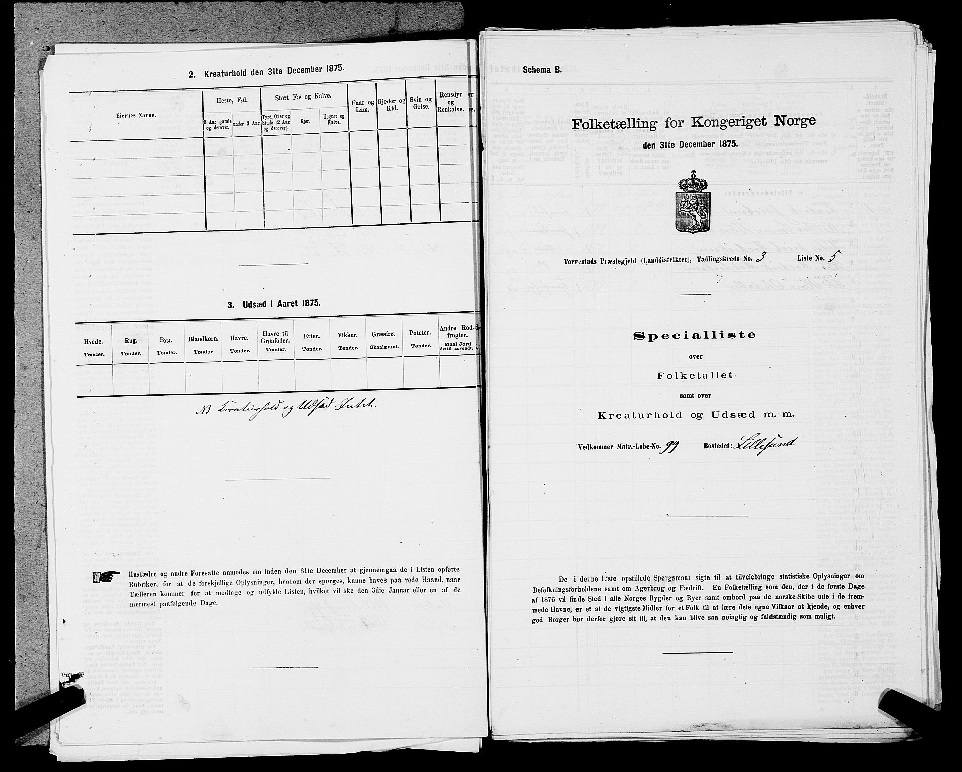 SAST, 1875 census for 1152L Torvastad/Torvastad, Skåre og Utsira, 1875, p. 425