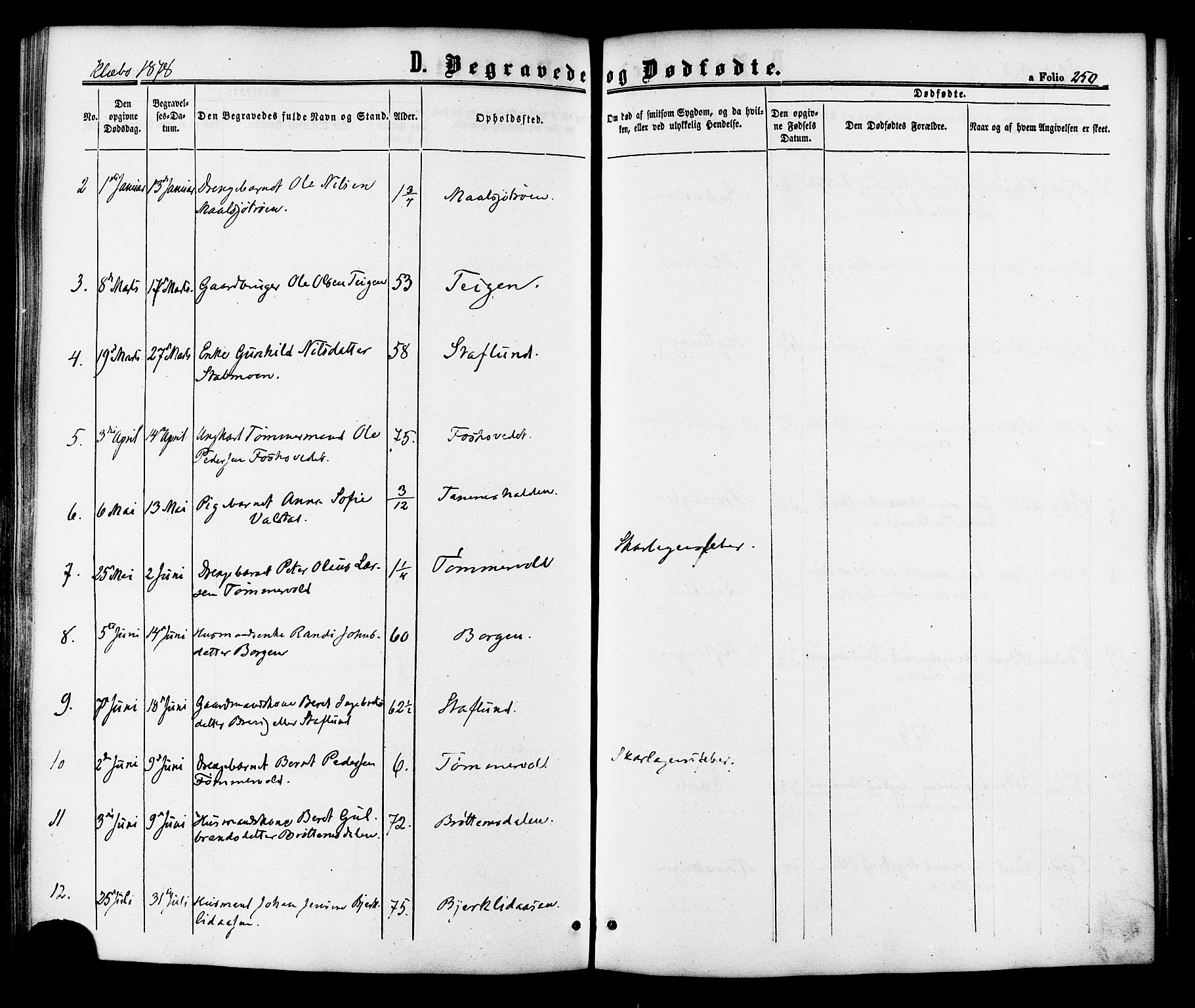 Ministerialprotokoller, klokkerbøker og fødselsregistre - Sør-Trøndelag, AV/SAT-A-1456/618/L0442: Parish register (official) no. 618A06 /1, 1863-1879, p. 250