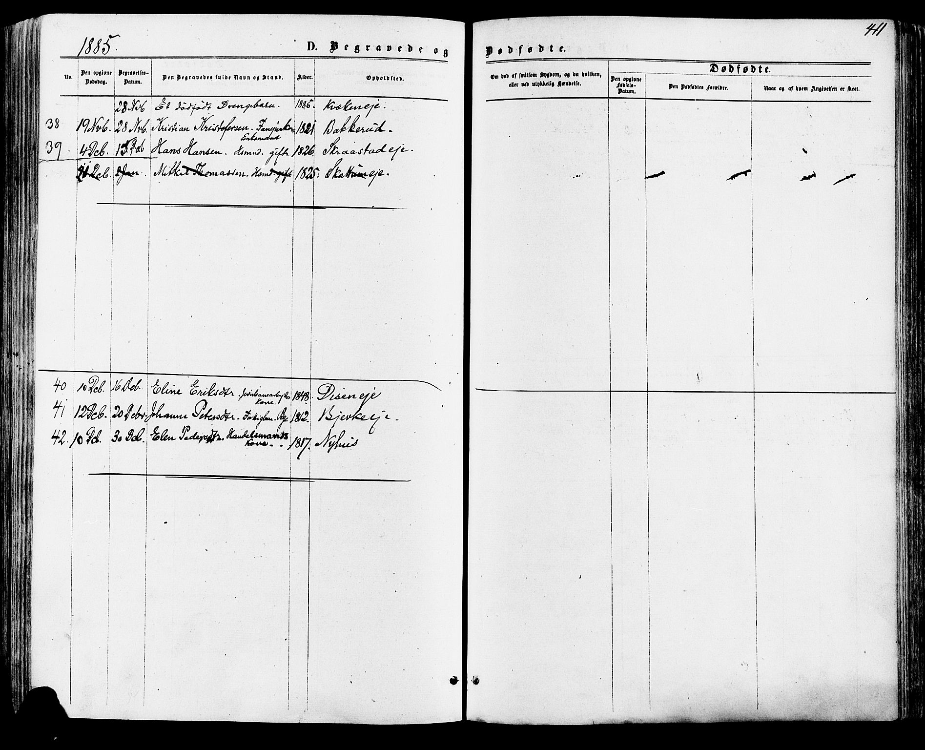 Vang prestekontor, Hedmark, AV/SAH-PREST-008/H/Ha/Haa/L0015: Parish register (official) no. 15, 1871-1885, p. 411