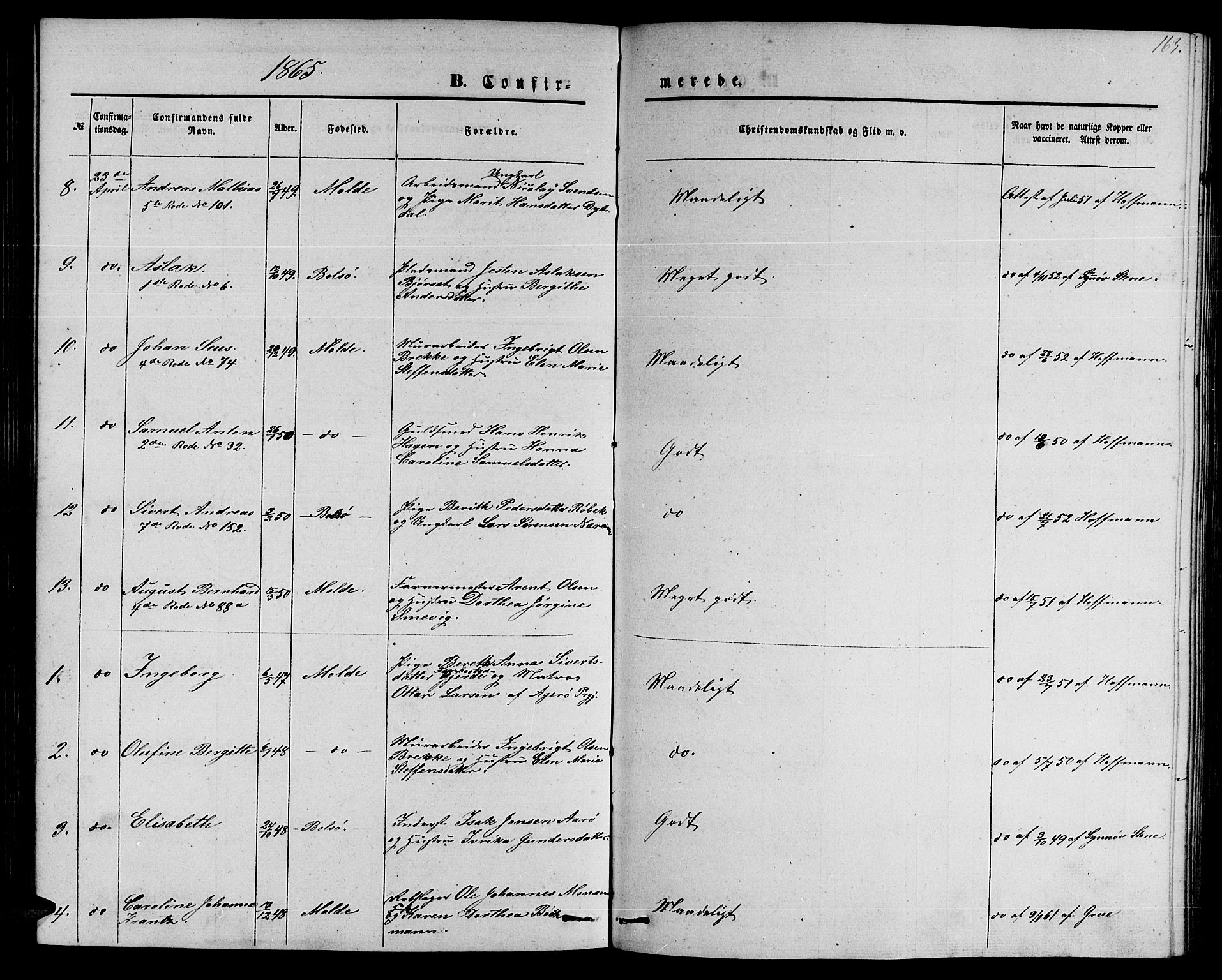 Ministerialprotokoller, klokkerbøker og fødselsregistre - Møre og Romsdal, AV/SAT-A-1454/558/L0701: Parish register (copy) no. 558C02, 1862-1879, p. 163