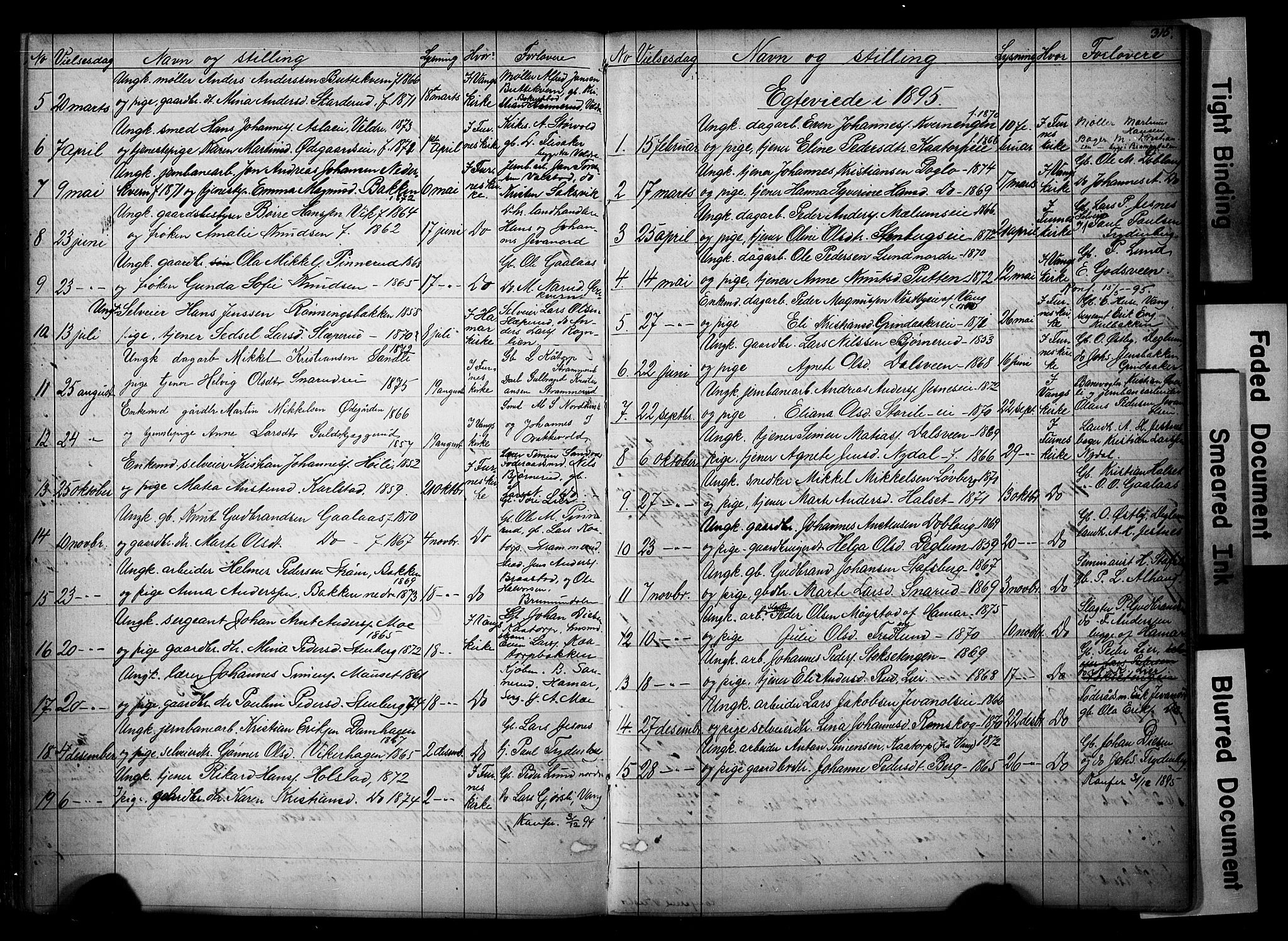 Vang prestekontor, Hedmark, AV/SAH-PREST-008/H/Ha/Hab/L0018: Parish register (copy) no. 18, 1871-1903, p. 315