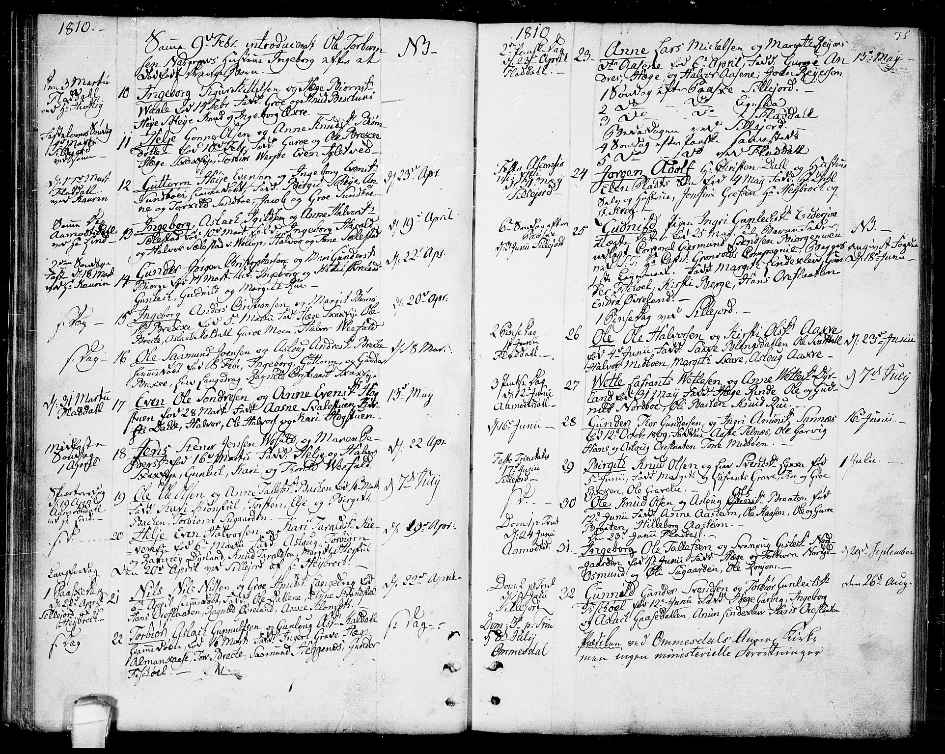 Seljord kirkebøker, SAKO/A-20/F/Fa/L0009: Parish register (official) no. I 9, 1801-1814, p. 35