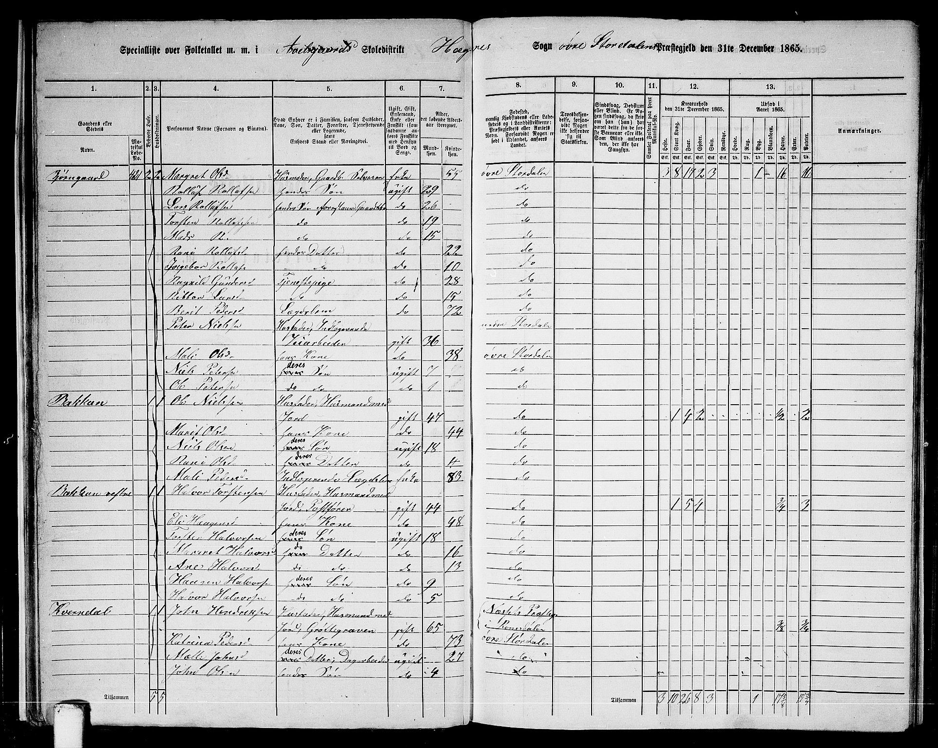 RA, 1865 census for Øvre Stjørdal, 1865, p. 24