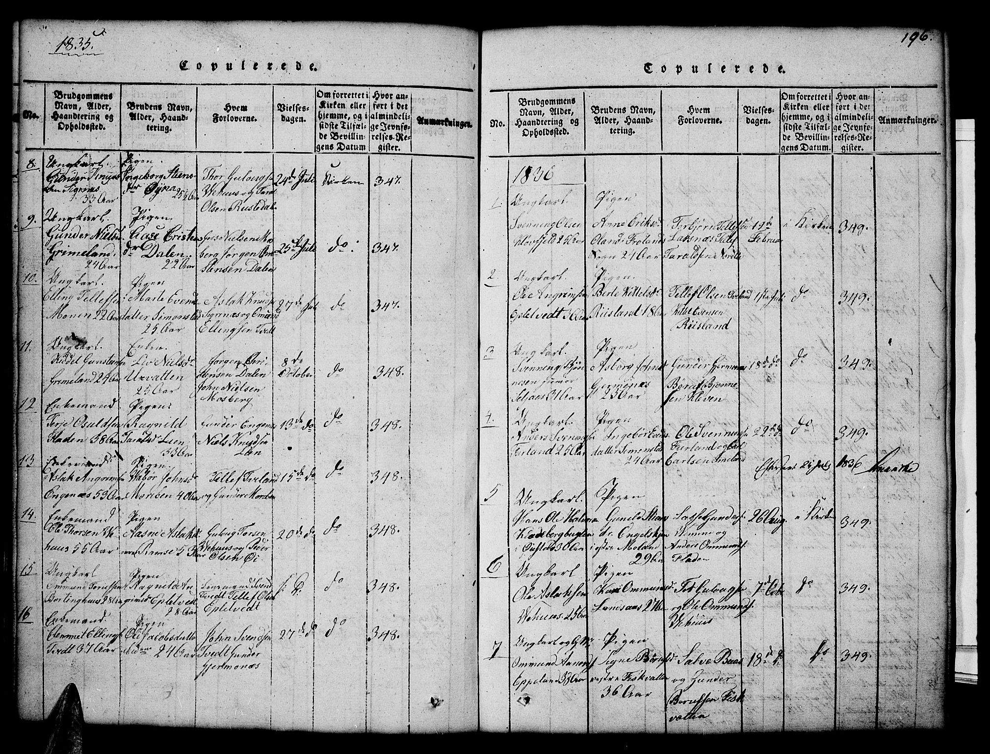 Åmli sokneprestkontor, SAK/1111-0050/F/Fb/Fbc/L0001: Parish register (copy) no. B 1, 1816-1867, p. 196