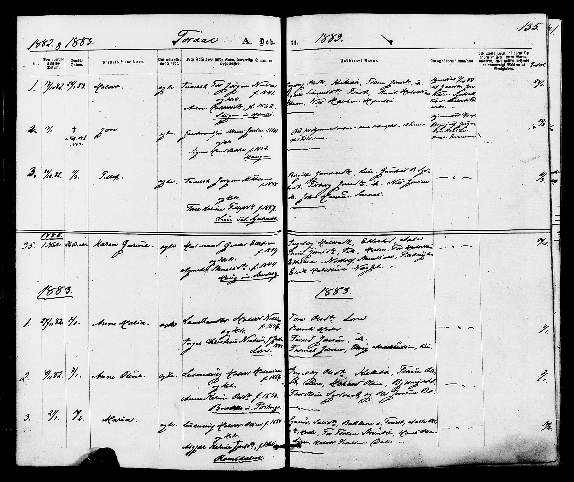 Drangedal kirkebøker, SAKO/A-258/F/Fa/L0009: Parish register (official) no. 9 /2, 1872-1884, p. 135