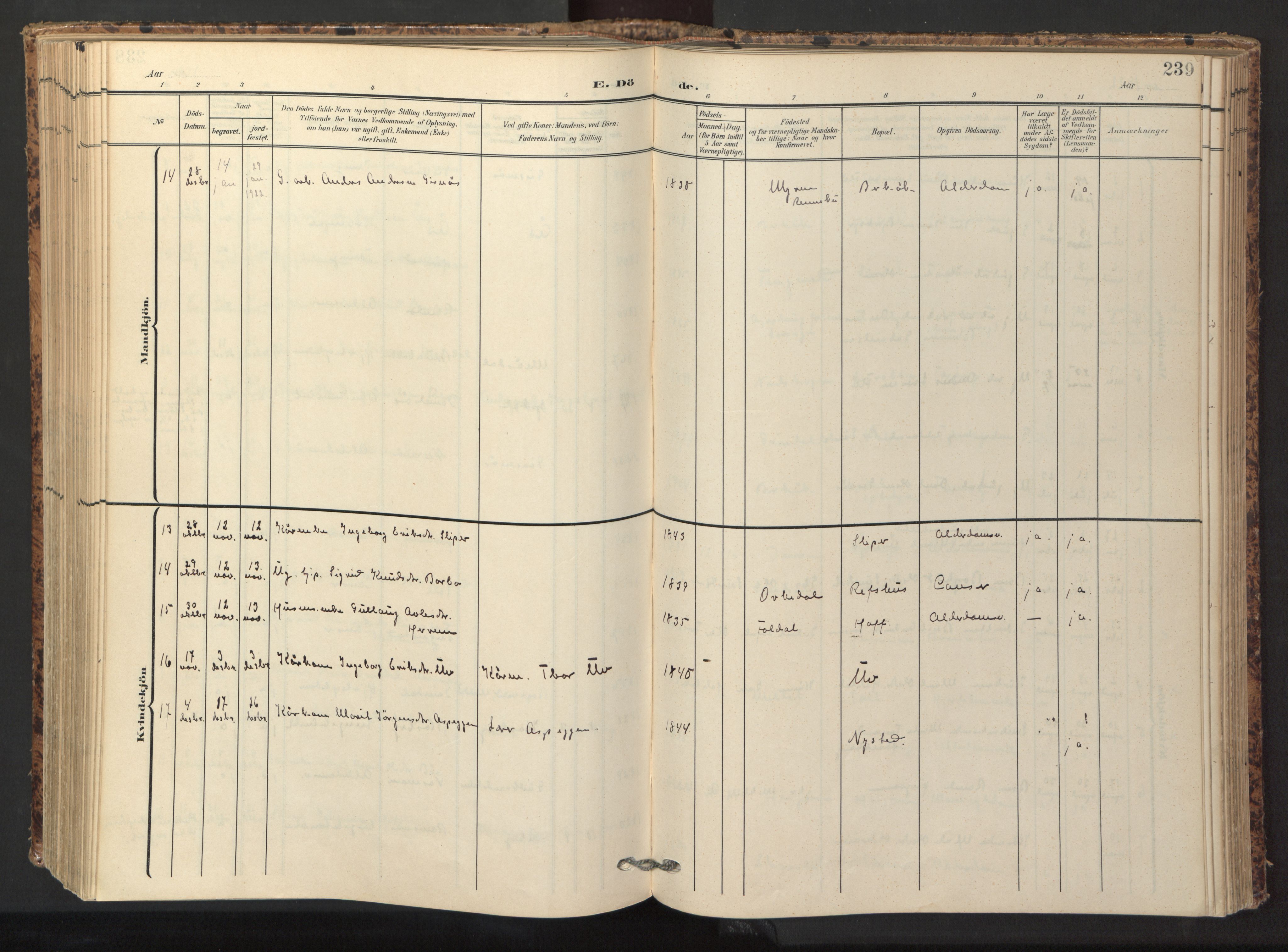 Ministerialprotokoller, klokkerbøker og fødselsregistre - Sør-Trøndelag, AV/SAT-A-1456/674/L0873: Parish register (official) no. 674A05, 1908-1923, p. 239