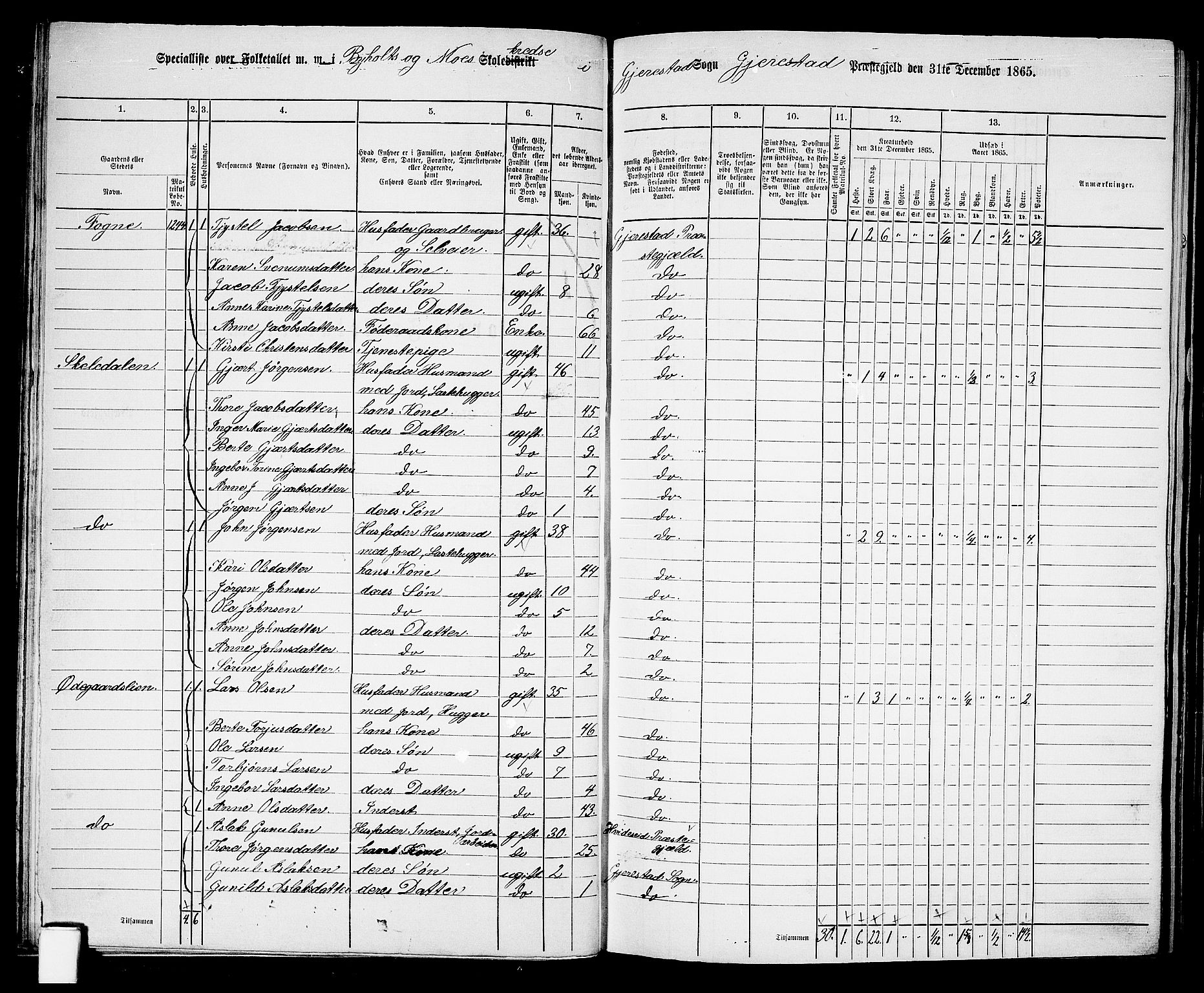 RA, 1865 census for Gjerstad, 1865, p. 33