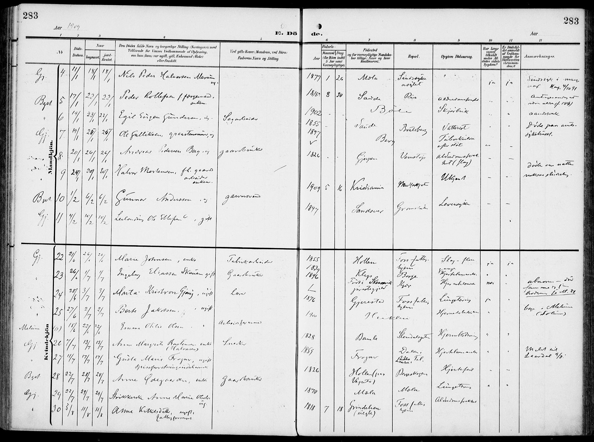 Gjerpen kirkebøker, SAKO/A-265/F/Fa/L0012: Parish register (official) no. I 12, 1905-1913, p. 283