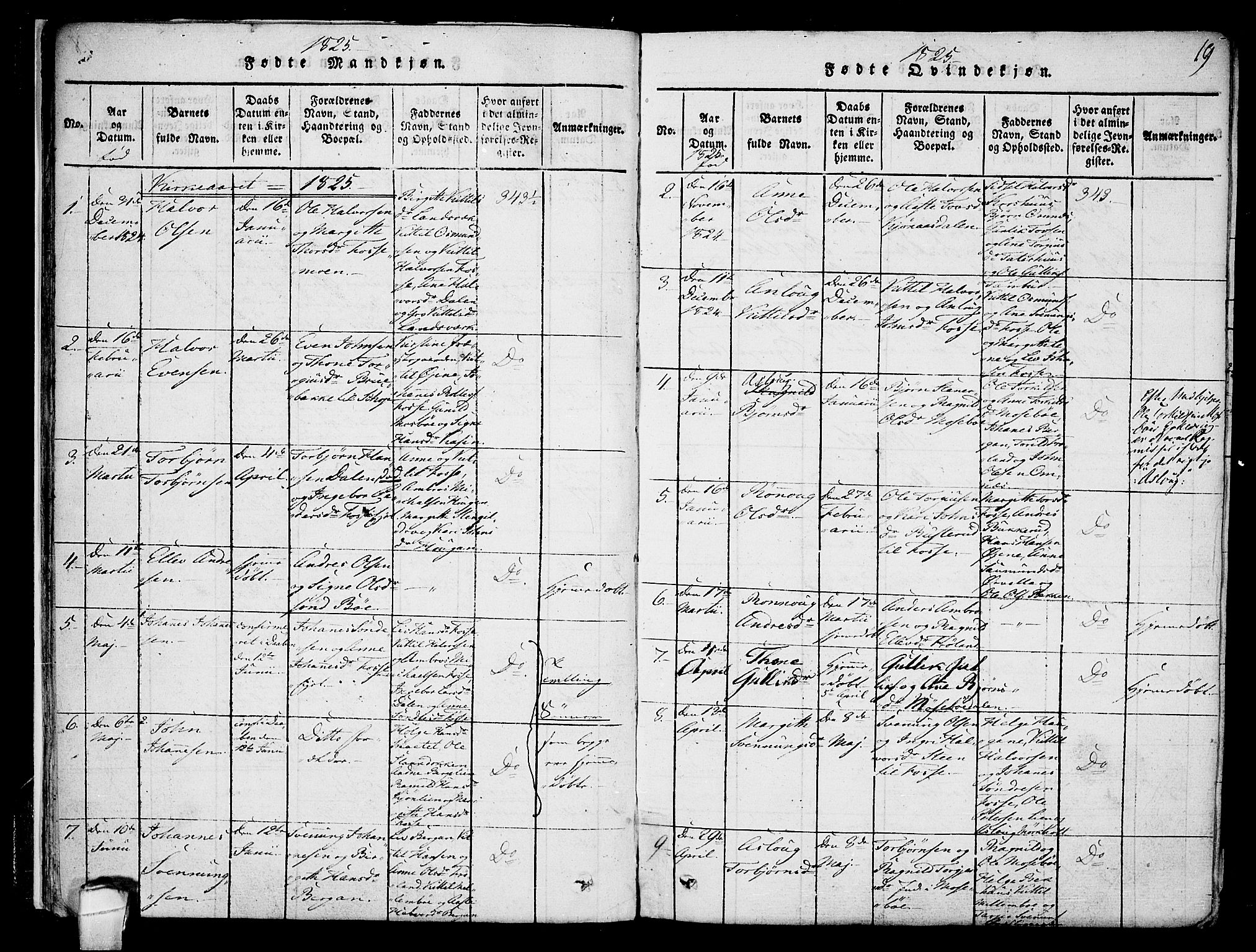 Hjartdal kirkebøker, SAKO/A-270/F/Fb/L0001: Parish register (official) no. II 1, 1815-1843, p. 19