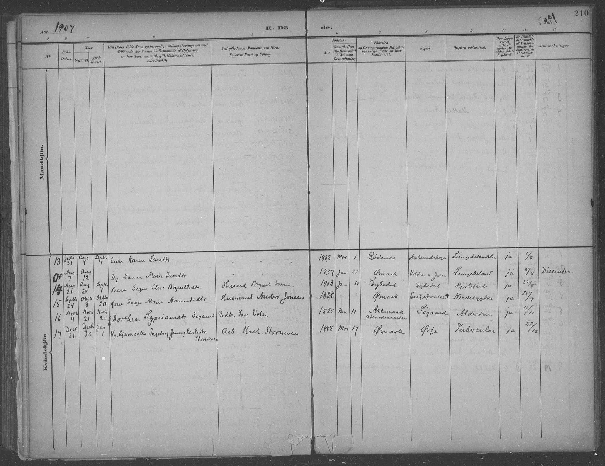 Aremark prestekontor Kirkebøker, SAO/A-10899/F/Fb/L0005: Parish register (official) no. II 5, 1895-1919, p. 210
