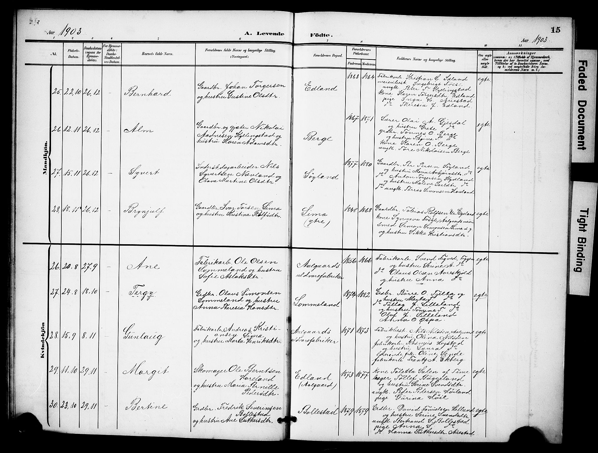 Lye sokneprestkontor, AV/SAST-A-101794/001/30BB/L0009: Parish register (copy) no. B 9, 1902-1923, p. 15