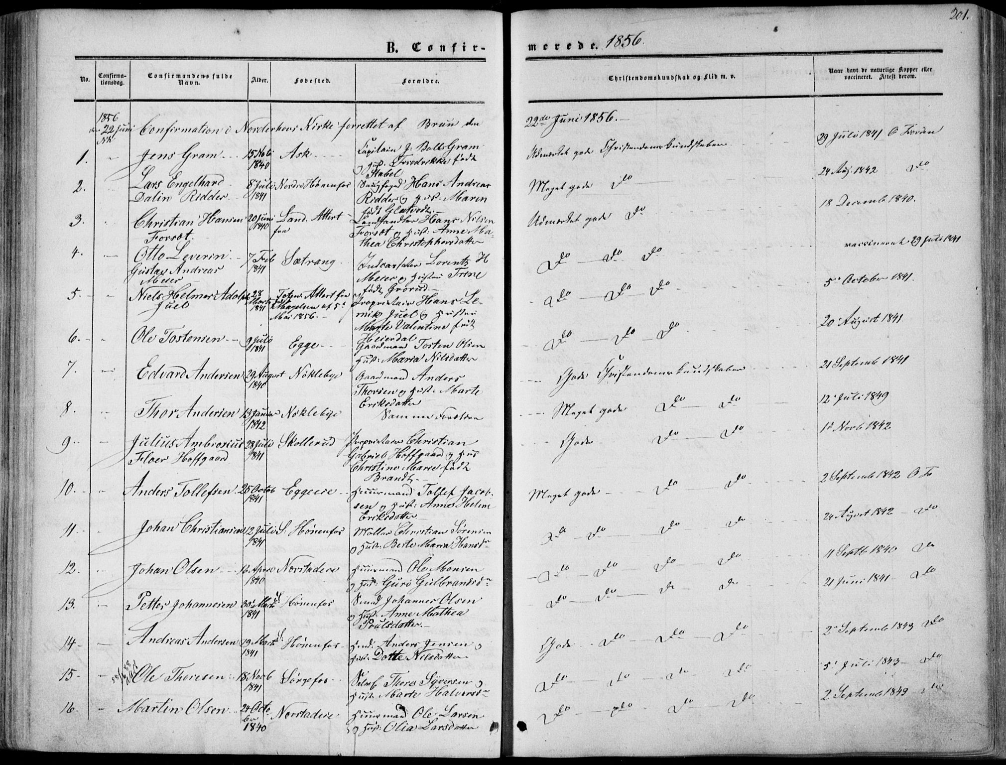 Norderhov kirkebøker, AV/SAKO-A-237/F/Fa/L0012: Parish register (official) no. 12, 1856-1865, p. 201