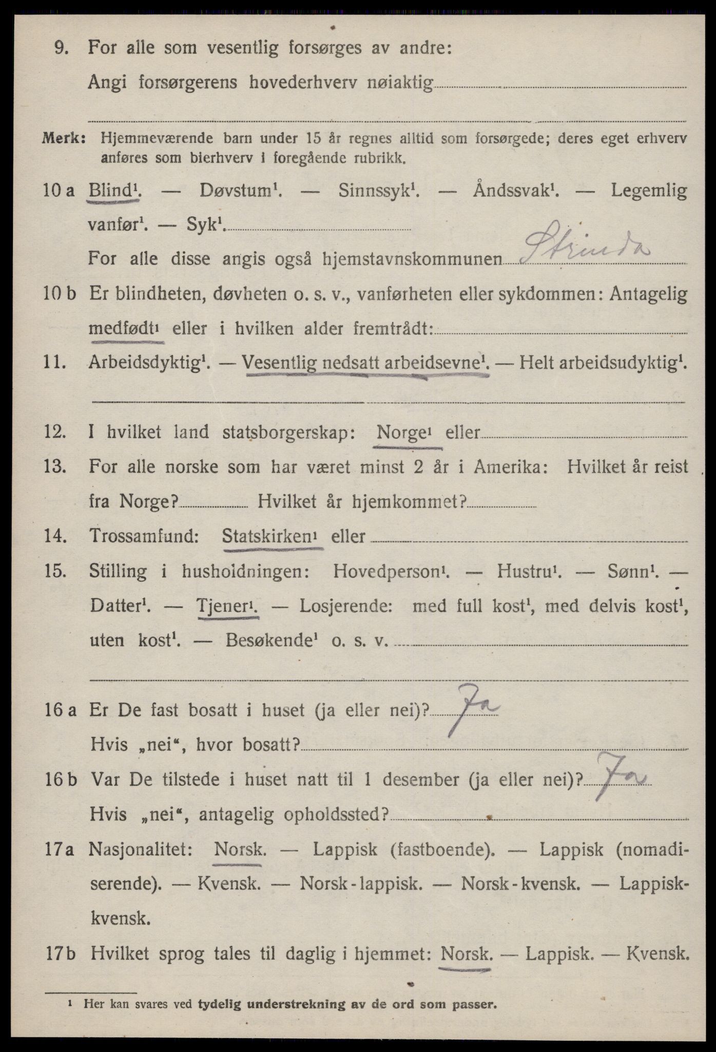 SAT, 1920 census for Strinda, 1920, p. 6027