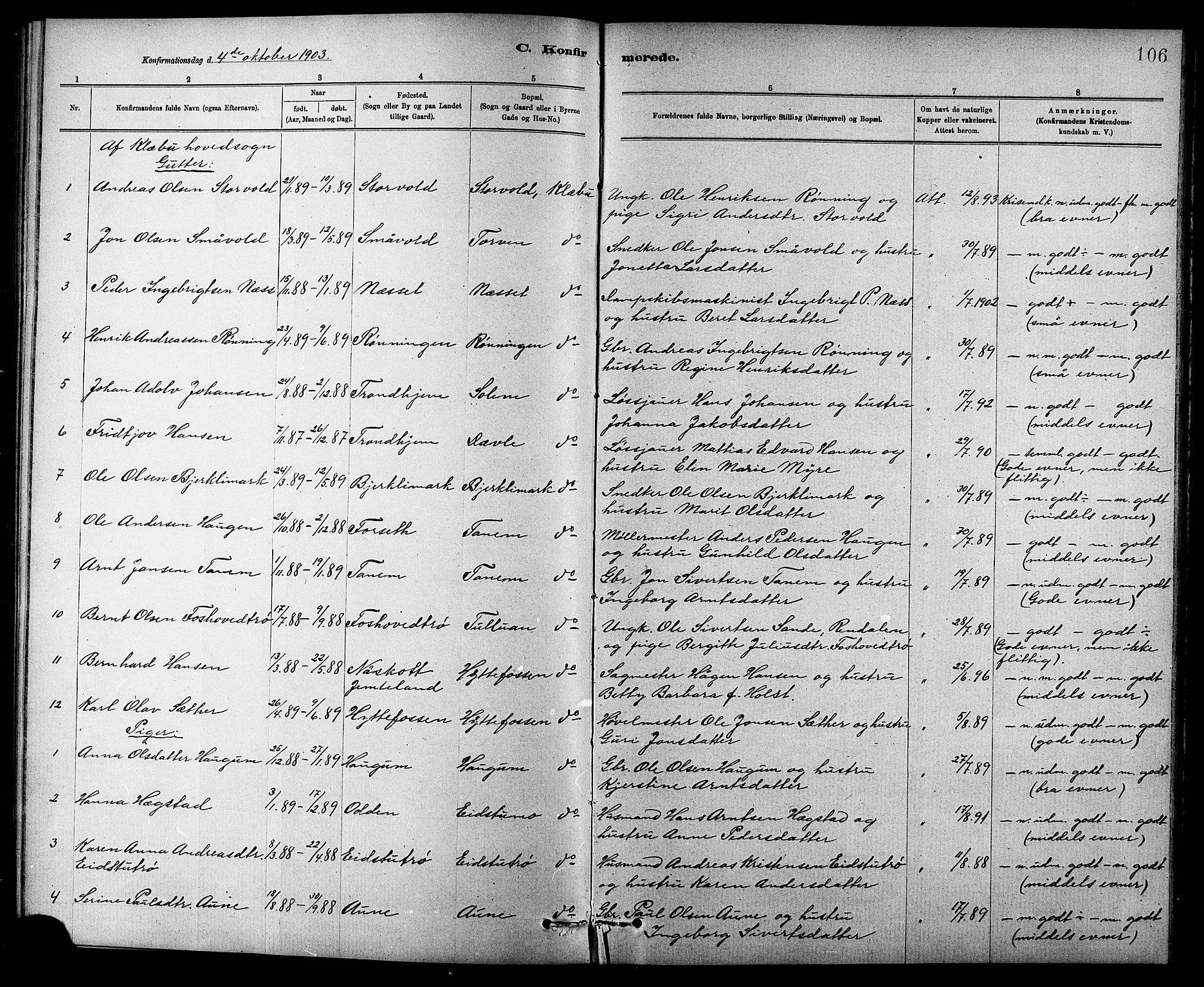 Ministerialprotokoller, klokkerbøker og fødselsregistre - Sør-Trøndelag, AV/SAT-A-1456/618/L0452: Parish register (copy) no. 618C03, 1884-1906, p. 106