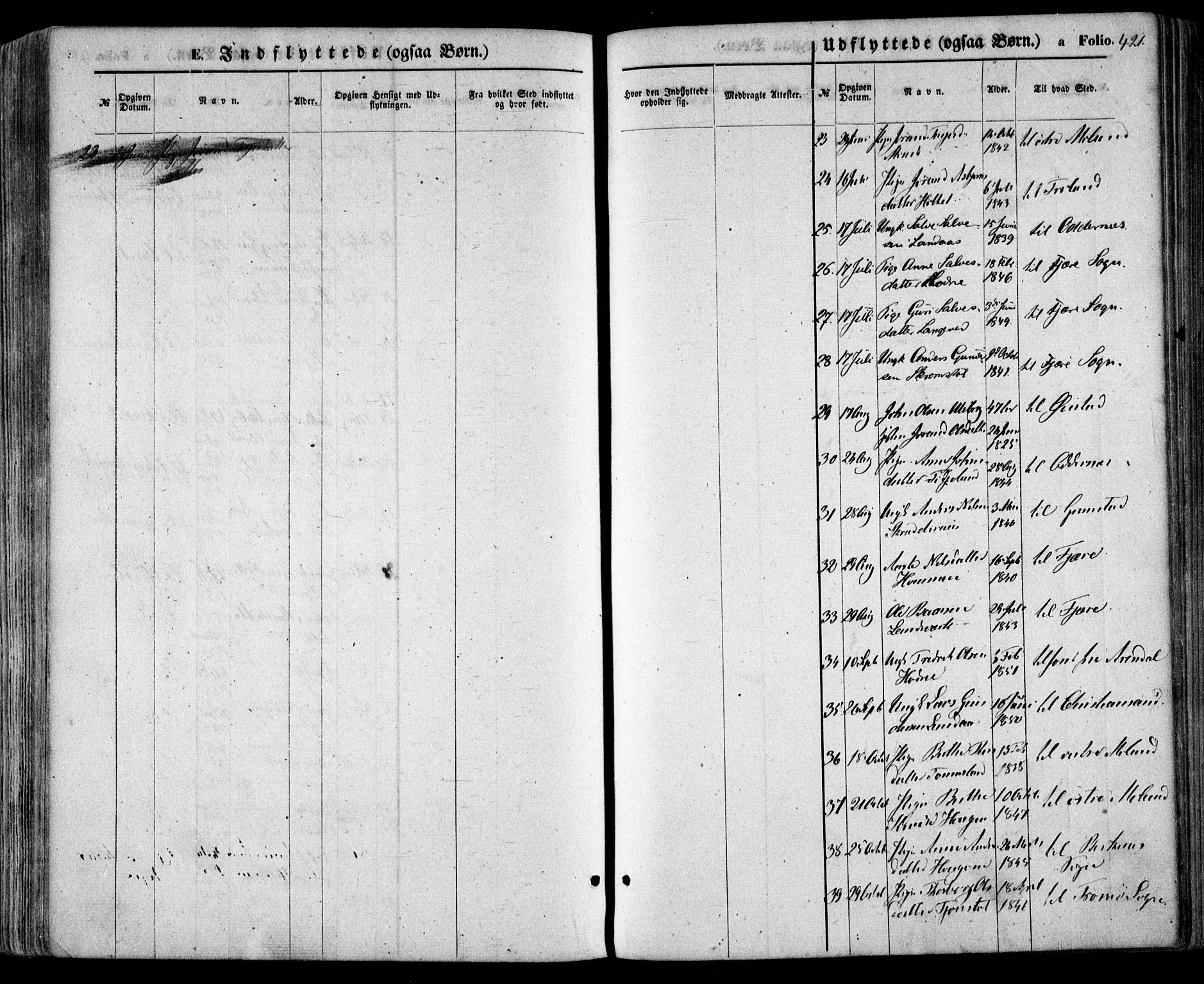 Evje sokneprestkontor, SAK/1111-0008/F/Fa/Faa/L0006: Parish register (official) no. A 6, 1866-1884, p. 421
