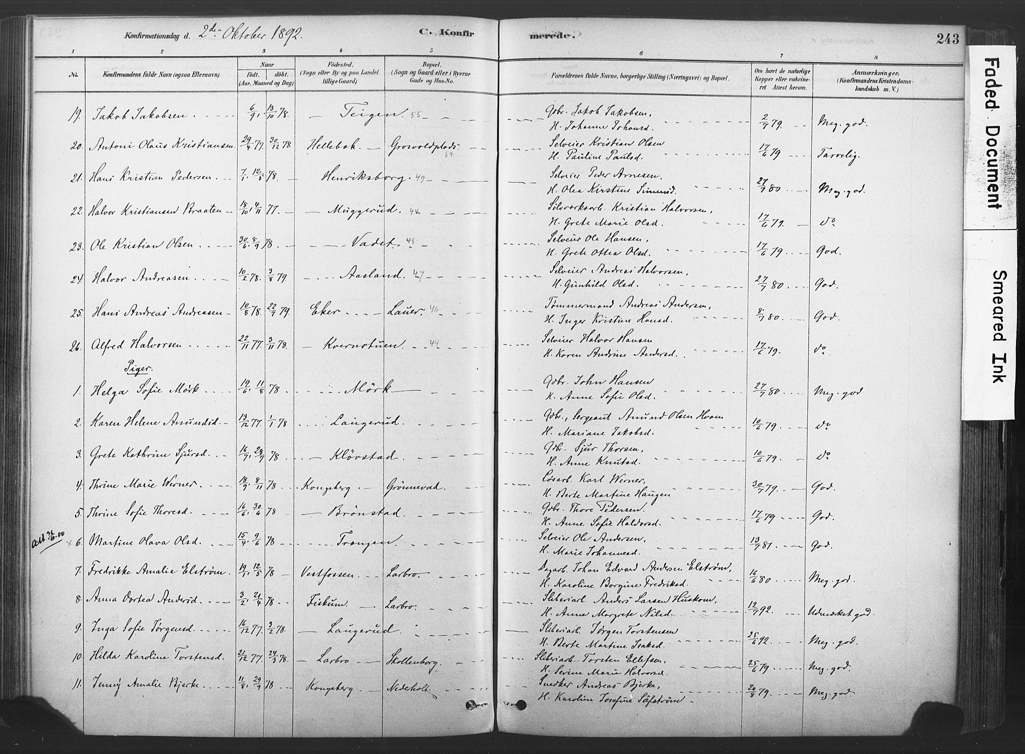 Sandsvær kirkebøker, SAKO/A-244/F/Fd/L0001: Parish register (official) no. IV 1, 1878-1906, p. 243