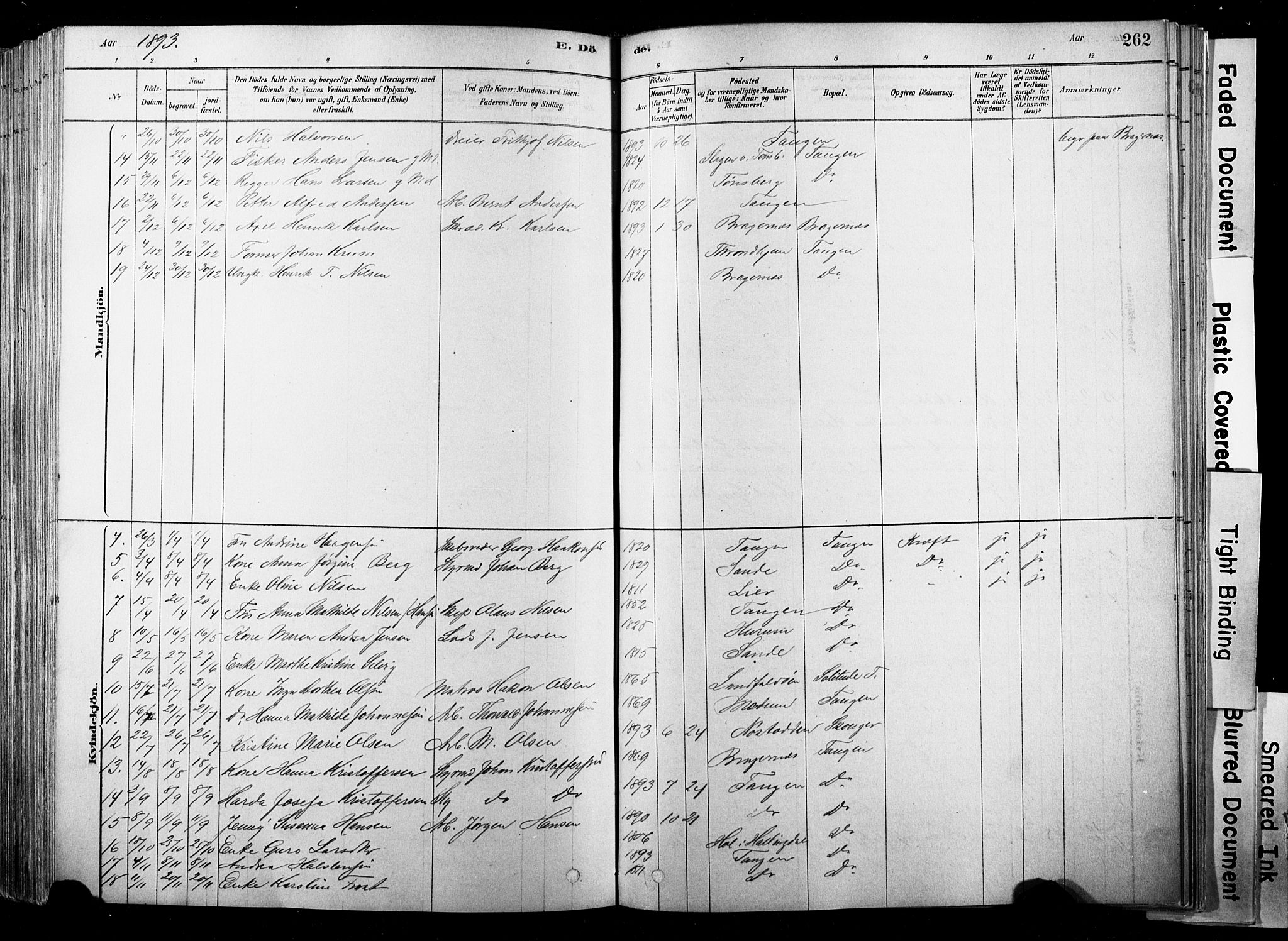 Strømsø kirkebøker, SAKO/A-246/F/Fb/L0006: Parish register (official) no. II 6, 1879-1910, p. 262