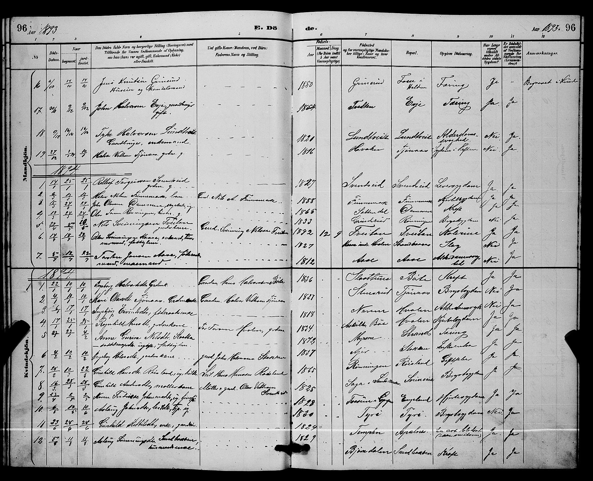 Lunde kirkebøker, SAKO/A-282/G/Ga/L0002: Parish register (copy) no. I 2, 1887-1896, p. 96