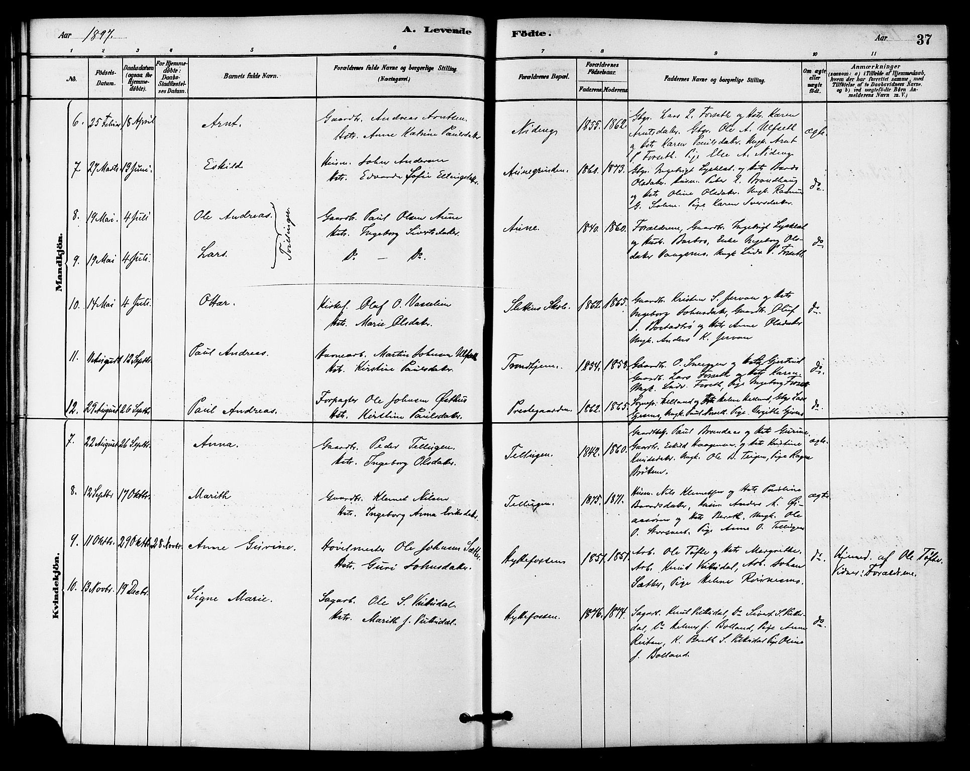 Ministerialprotokoller, klokkerbøker og fødselsregistre - Sør-Trøndelag, SAT/A-1456/618/L0444: Parish register (official) no. 618A07, 1880-1898, p. 37