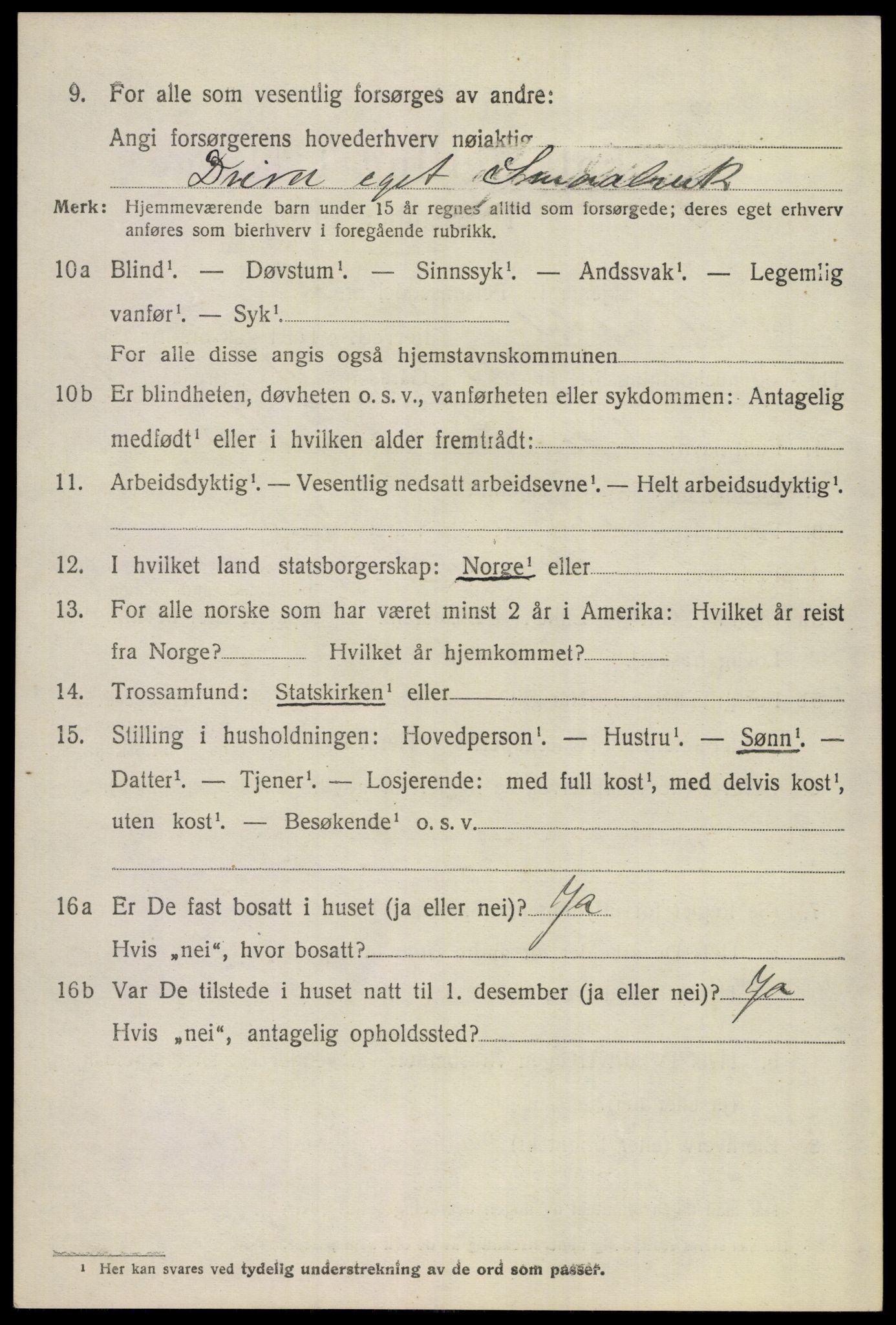 SAKO, 1920 census for Hemsedal, 1920, p. 1737