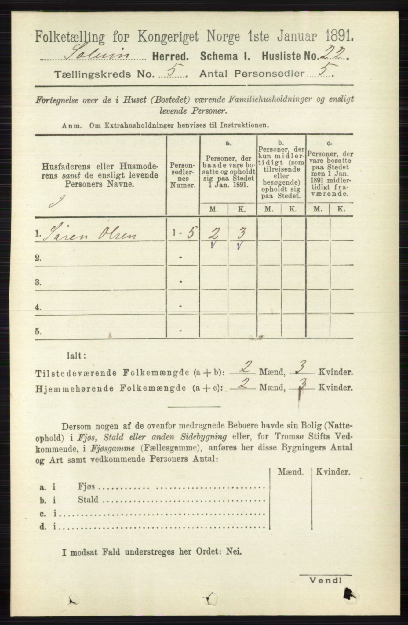 RA, 1891 census for 0818 Solum, 1891, p. 819