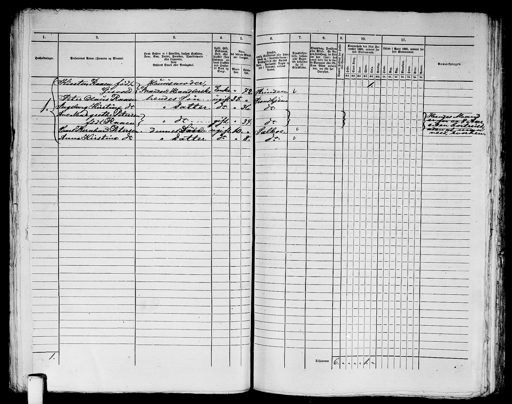 RA, 1865 census for Trondheim, 1865, p. 1259