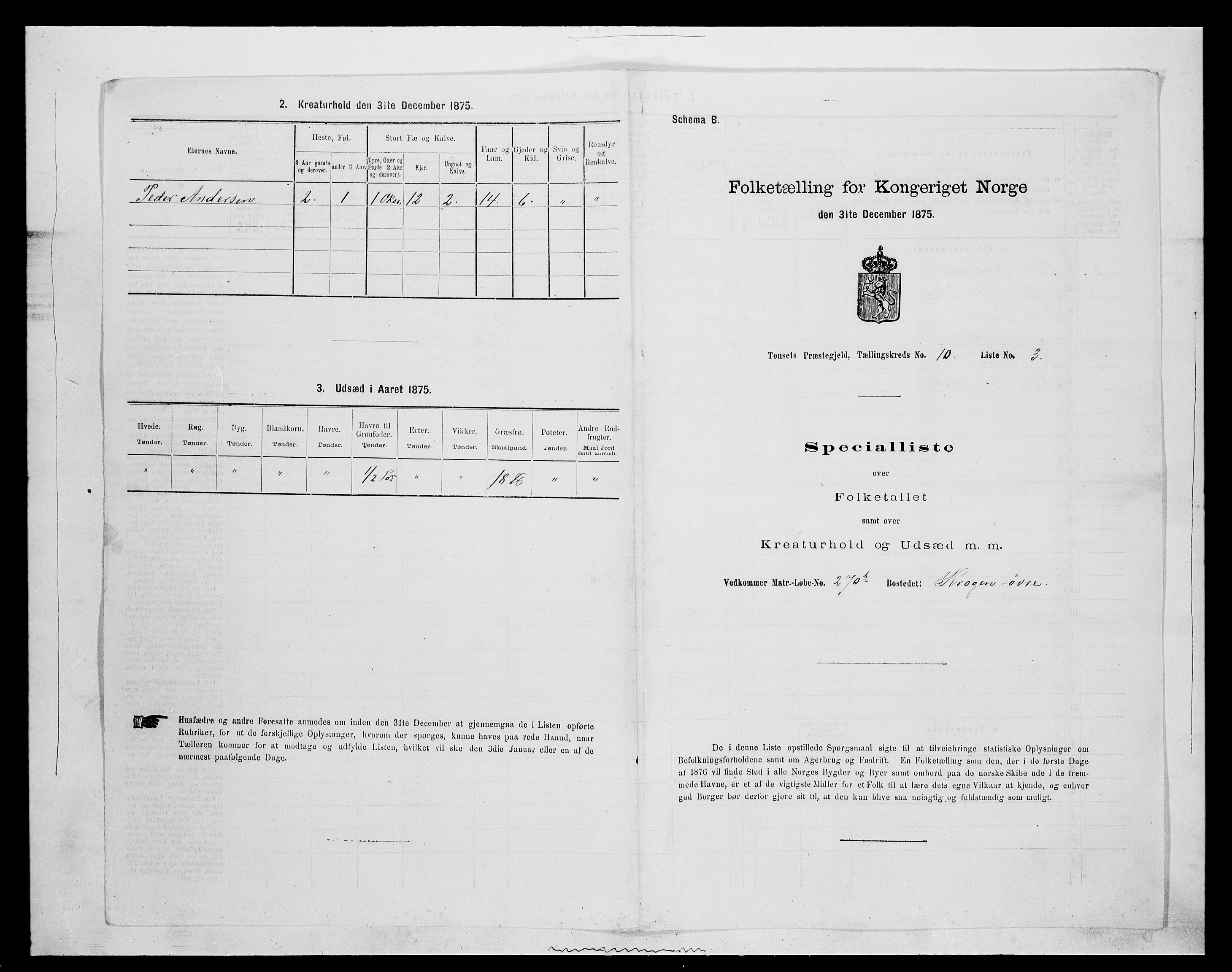 SAH, 1875 census for 0437P Tynset, 1875, p. 968