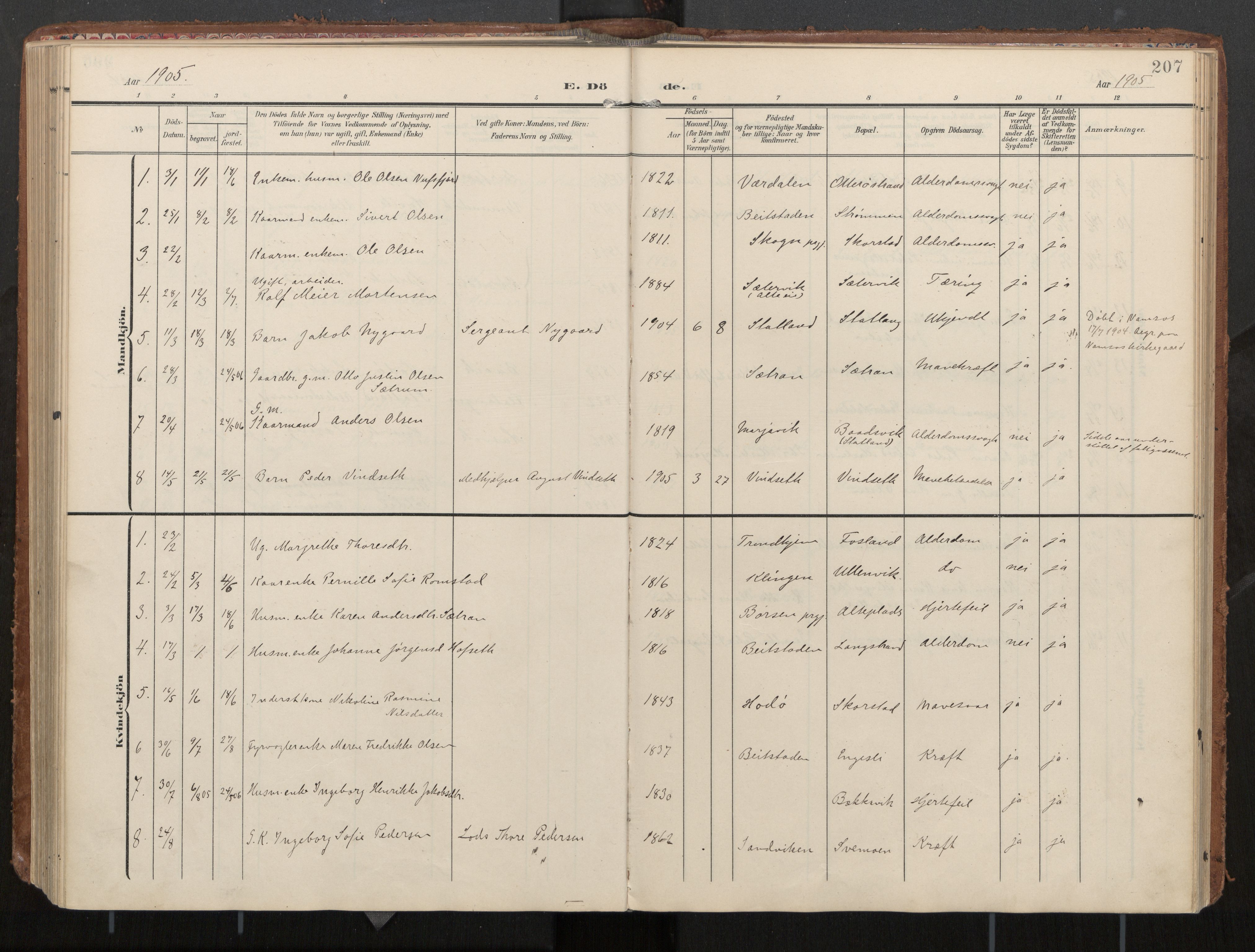 Ministerialprotokoller, klokkerbøker og fødselsregistre - Nord-Trøndelag, AV/SAT-A-1458/774/L0629: Parish register (official), 1904-1926, p. 207